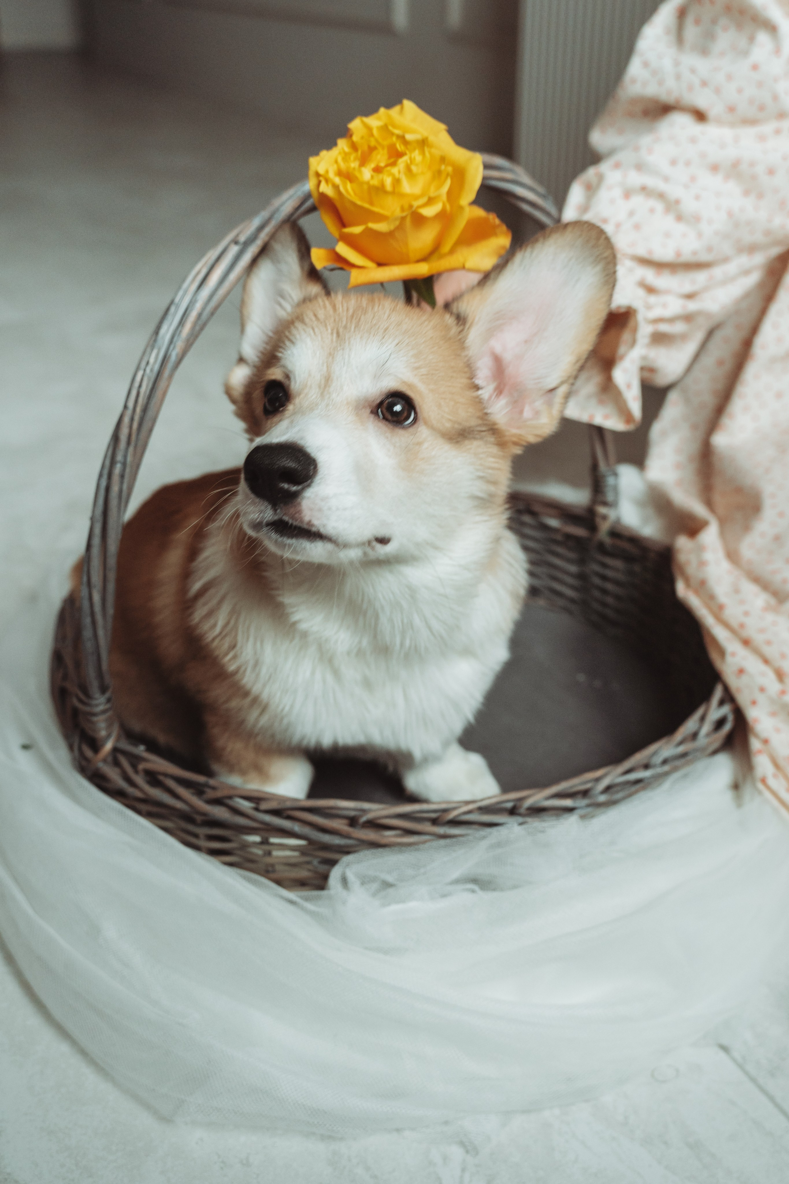 Портретный фотограф Санкт-Петербург. Свадебный, семейный, портретный, репортажный фотограф в Санкт-Петербурге