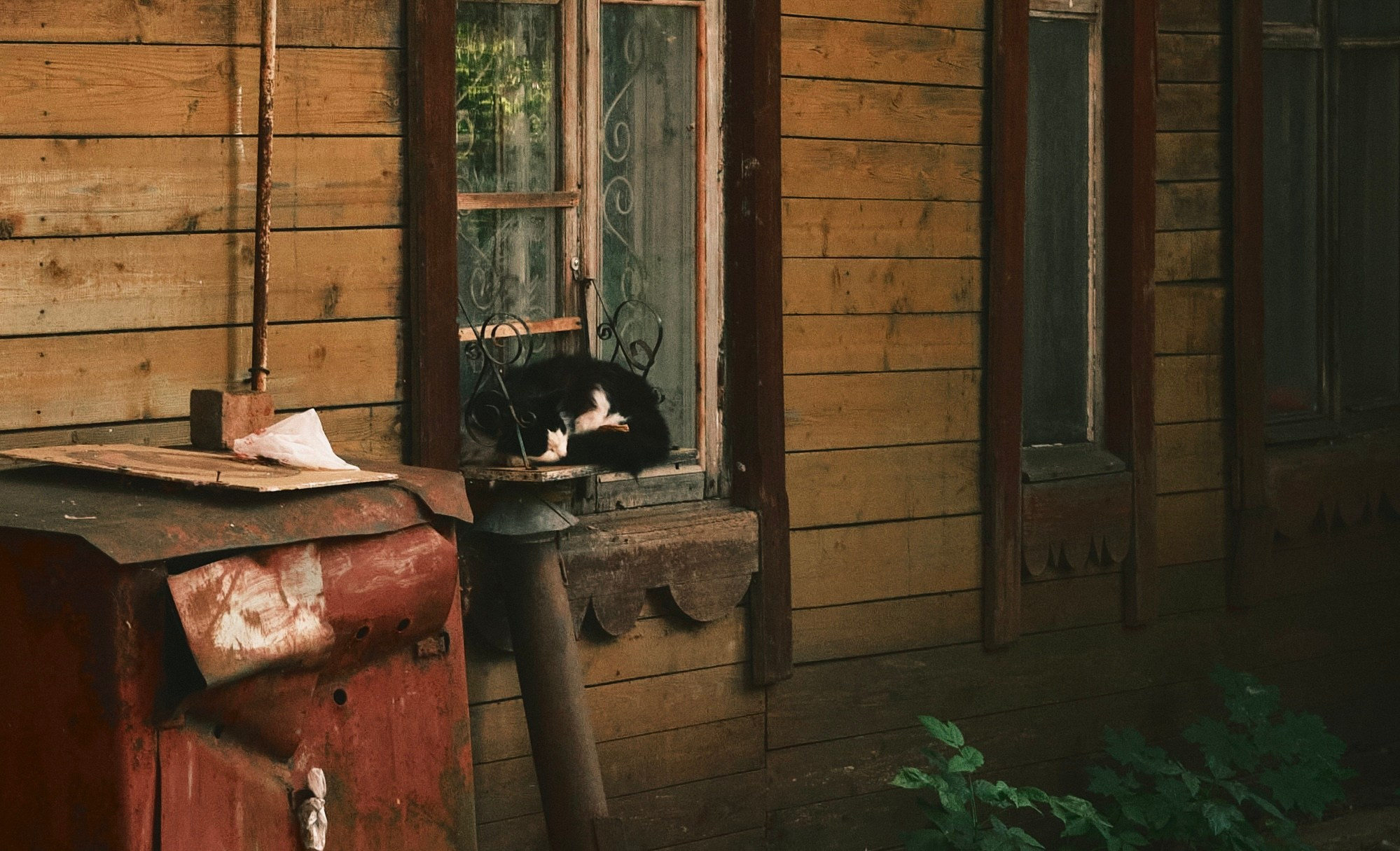 Уличная фотография из Кирова. Фотограф-любитель из Кирова Андрей Погребняк