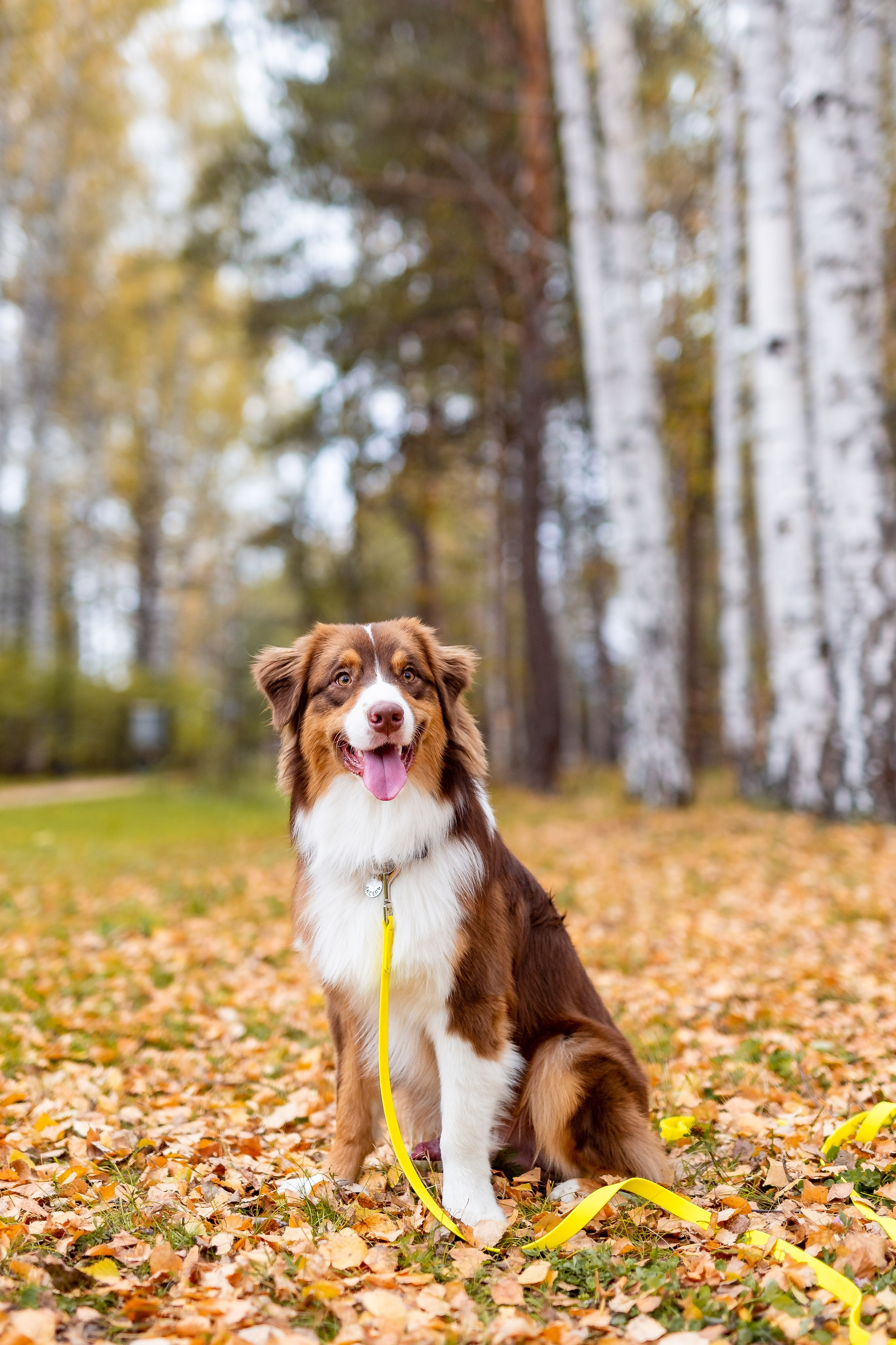 Профессиональный фотограф Верхняя Пышма. Семейный фотограф в Екатеринбурге