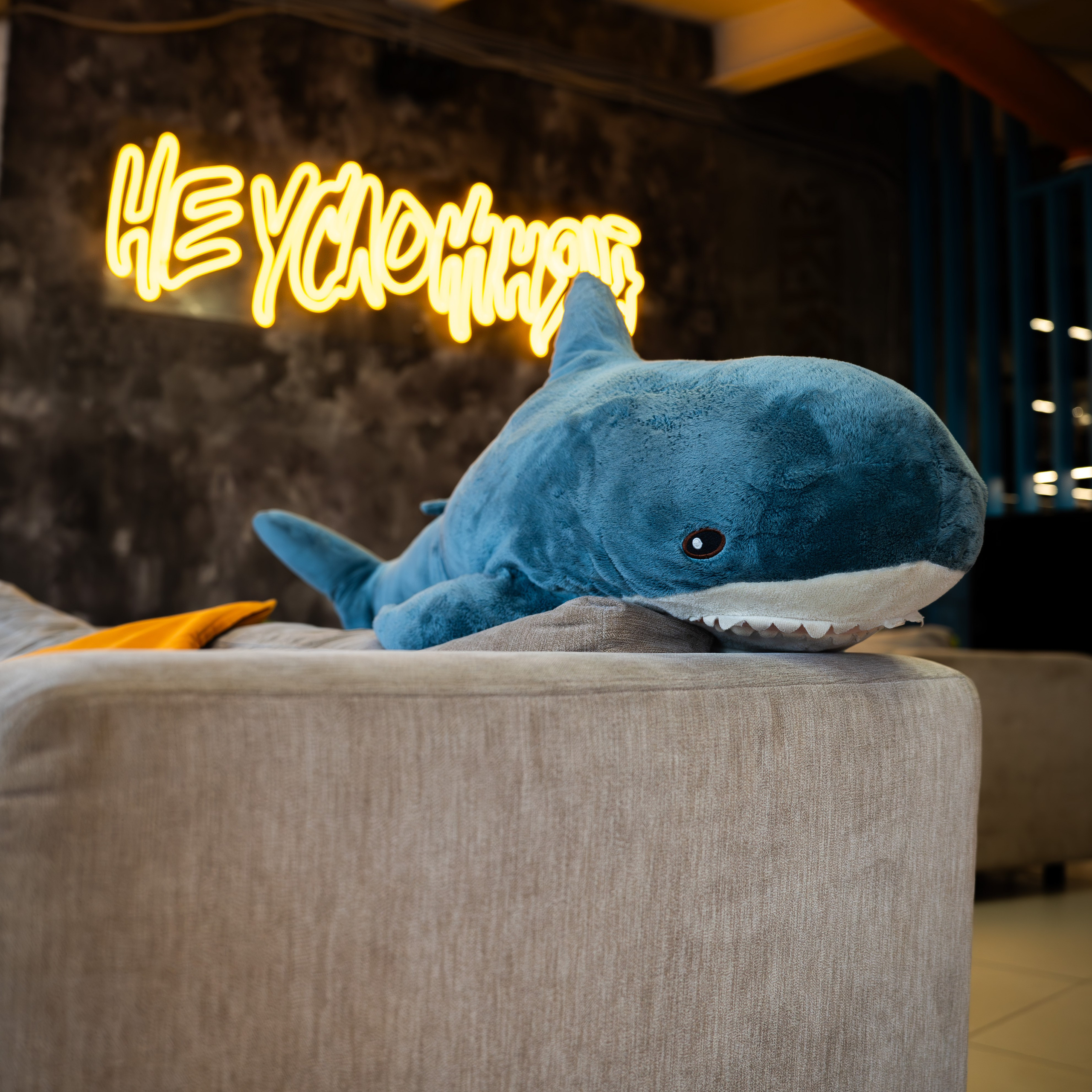 Фотографии заведения Не усложняй. JOHNNY SOLOVEV VISION