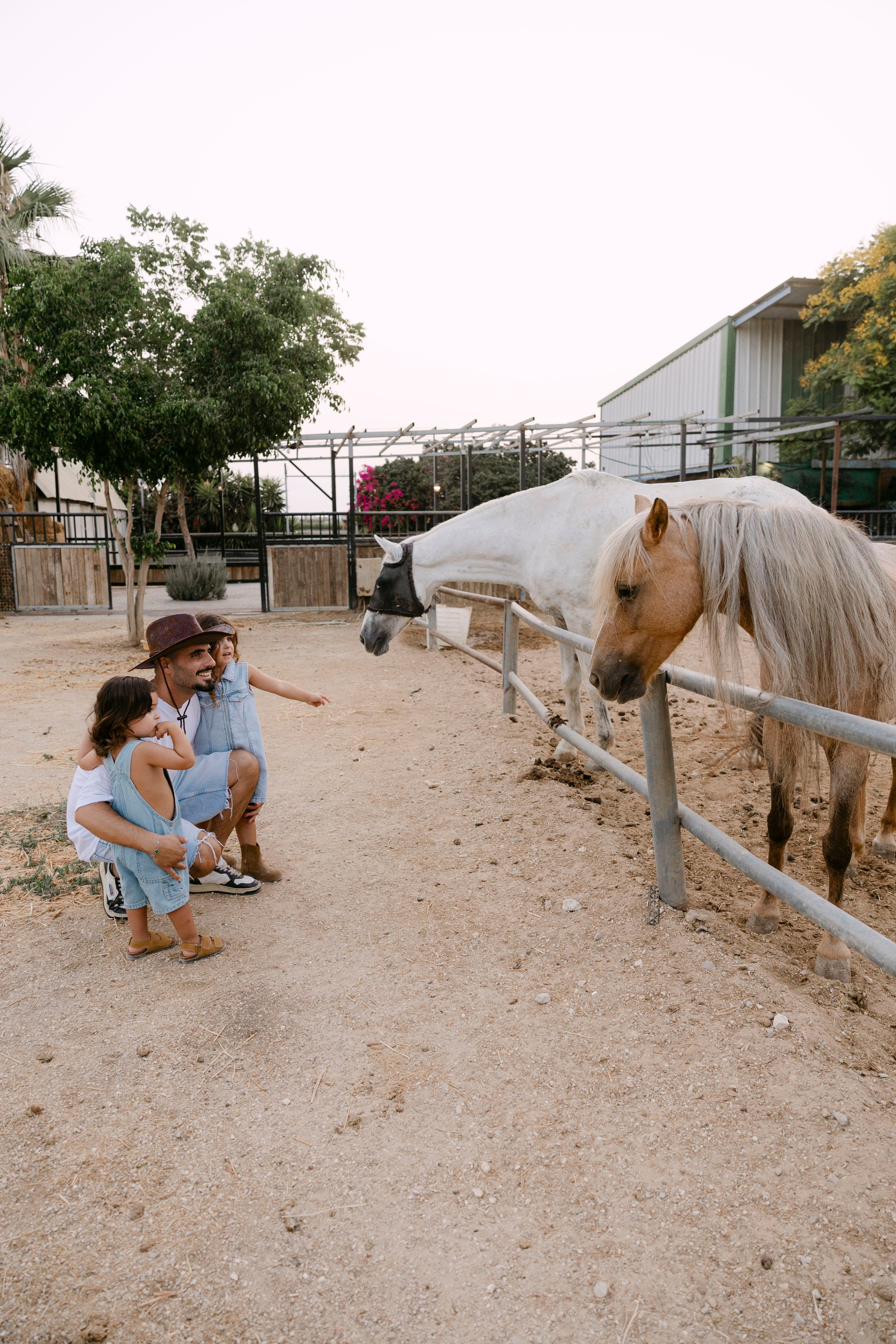 Pregnancy photoshoot at the horse farm. Главная