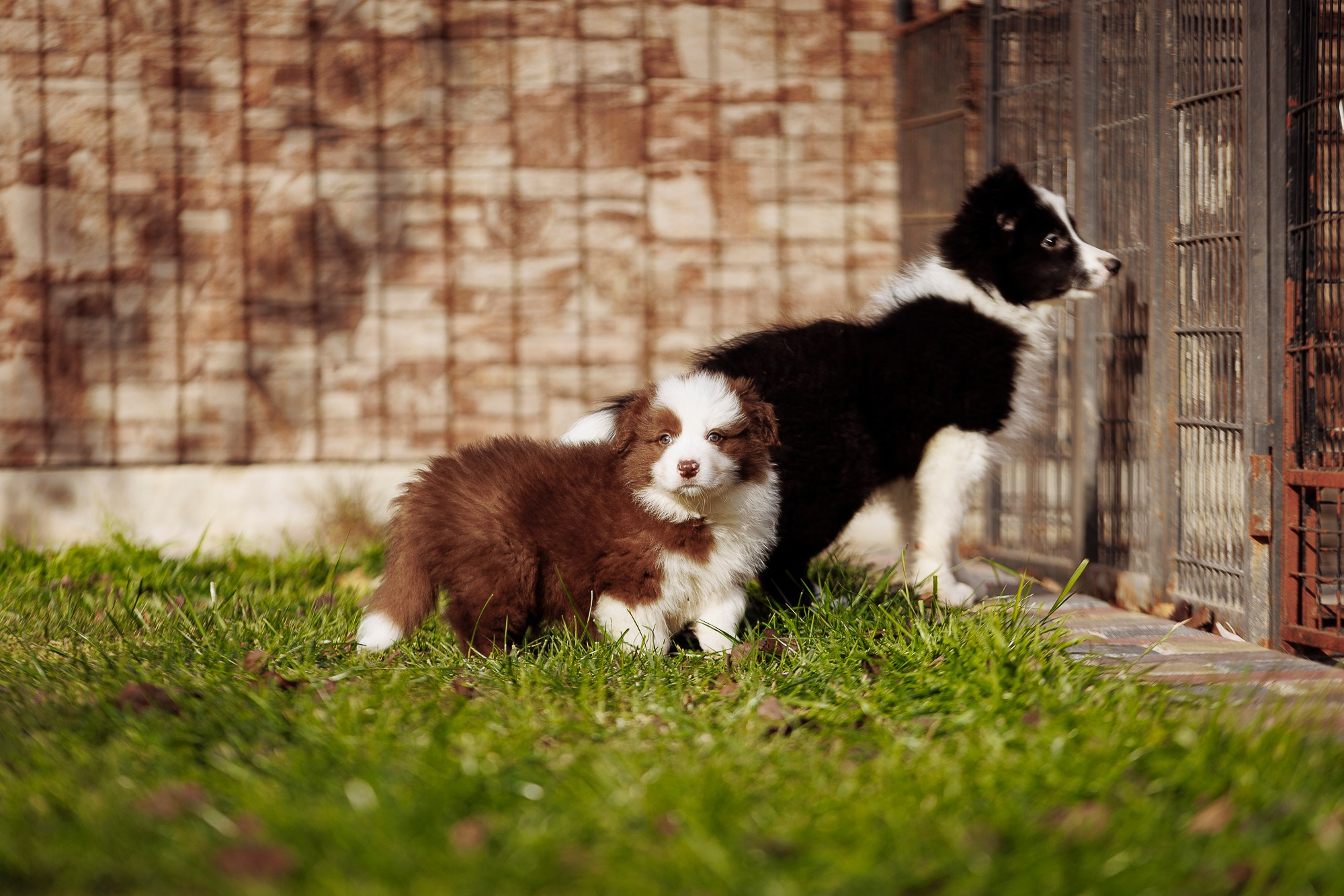 У дома с большой компанией от мала до велика. О нас