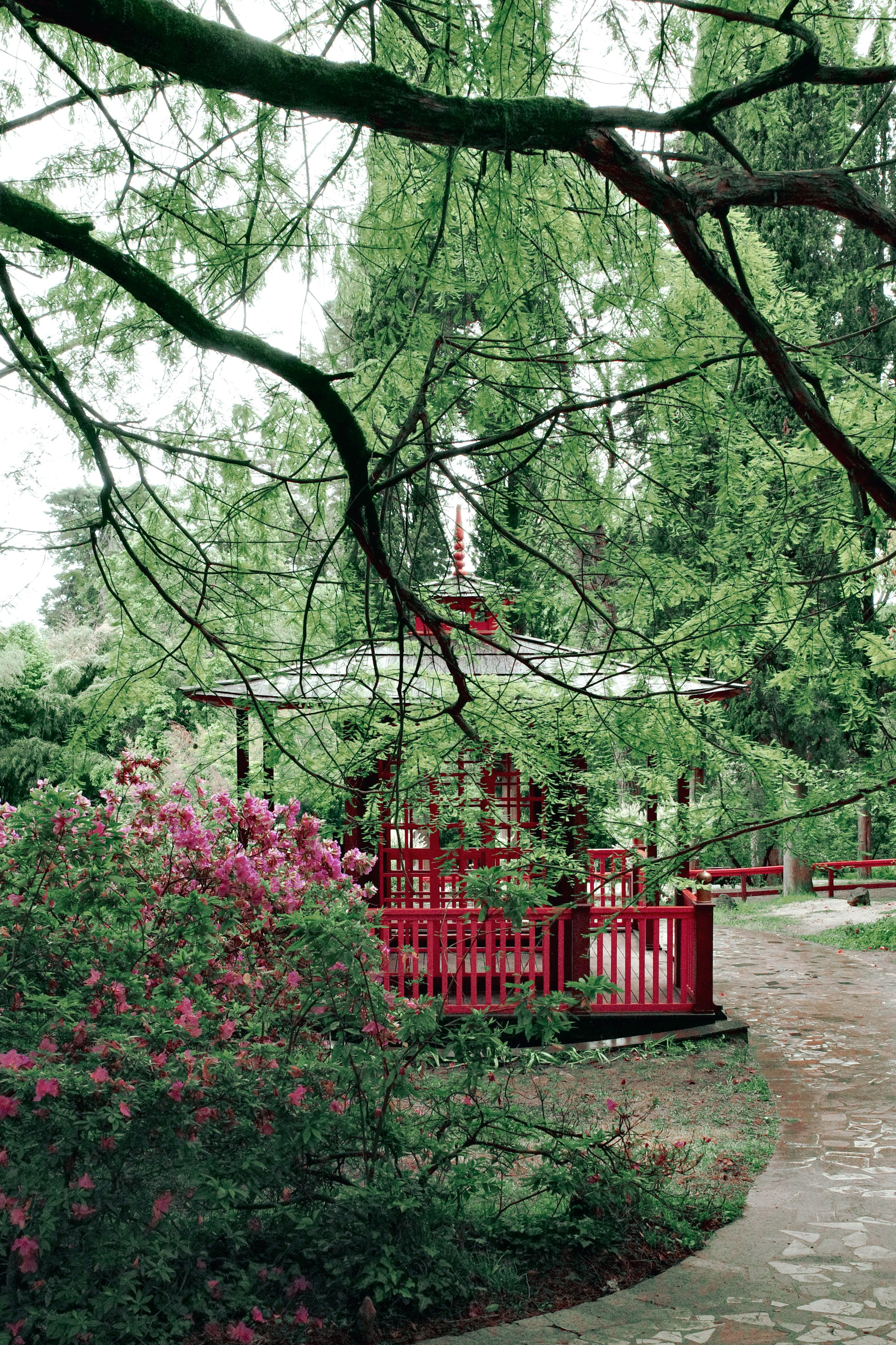 JAPANESE GARDEN. Anne Demia