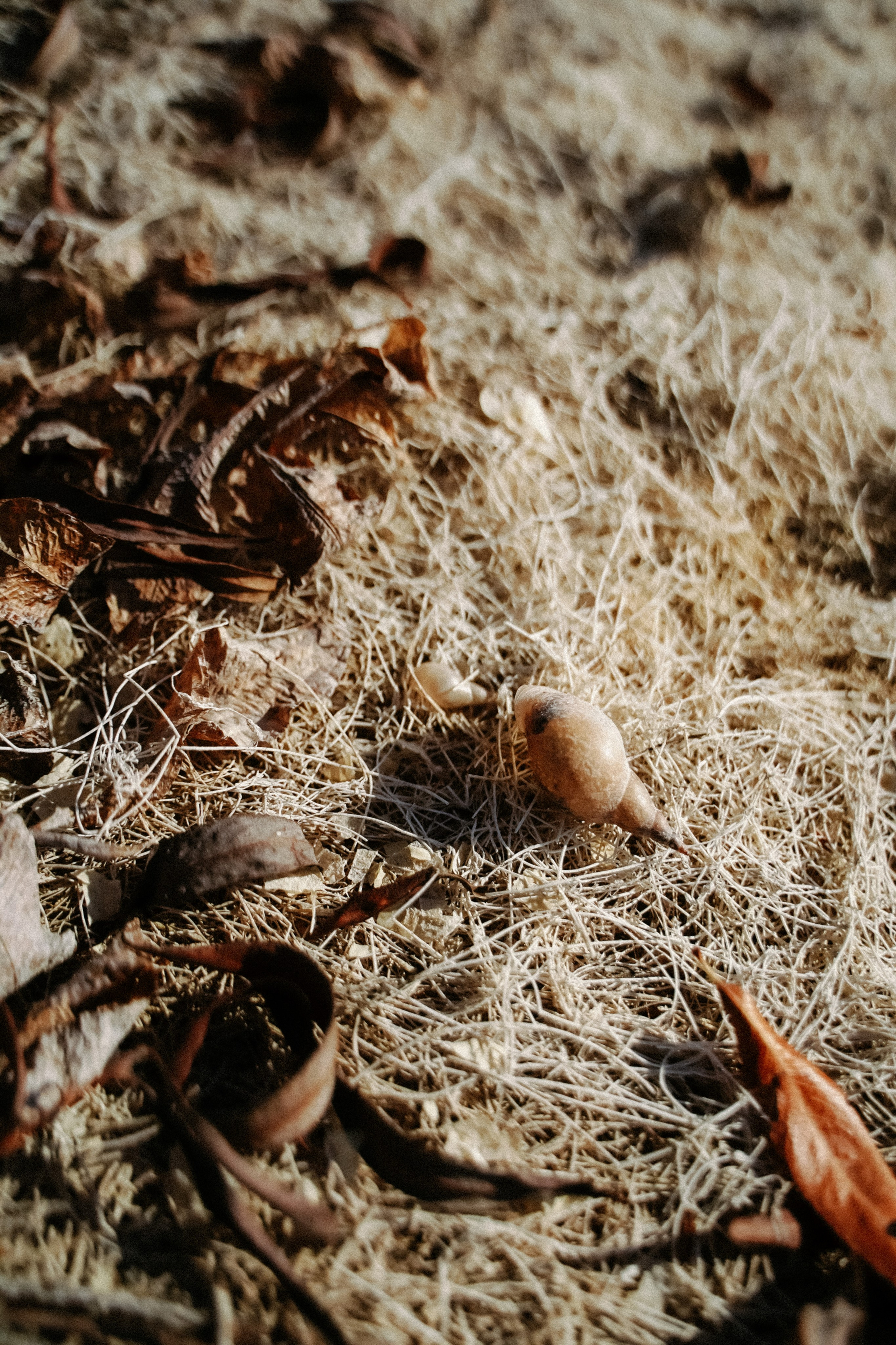 Творчество