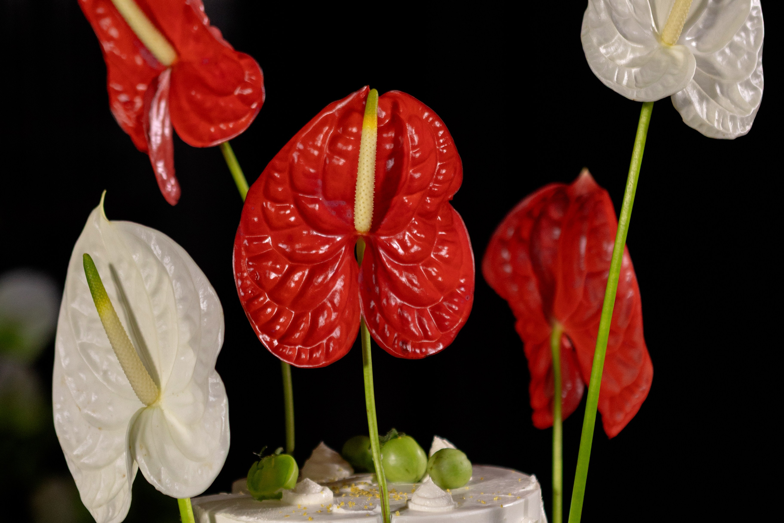 Генрих и Юлия (В данной серии сокращенный, полый день). Фотограф в Саратове Сабина Иманова