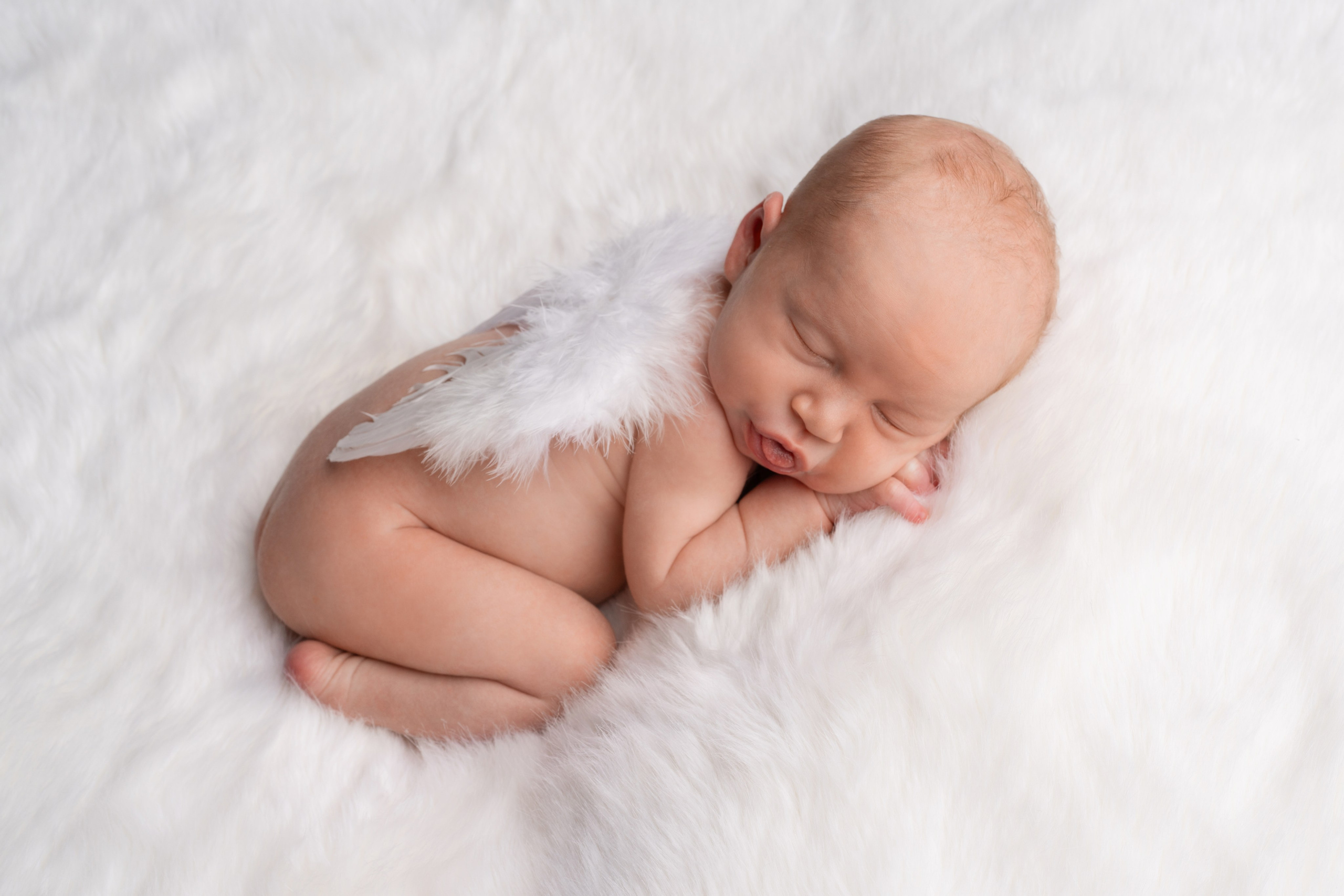 Фото новорождённых. Фотограф новорождённых в Новомосковске Яна Иванушкина