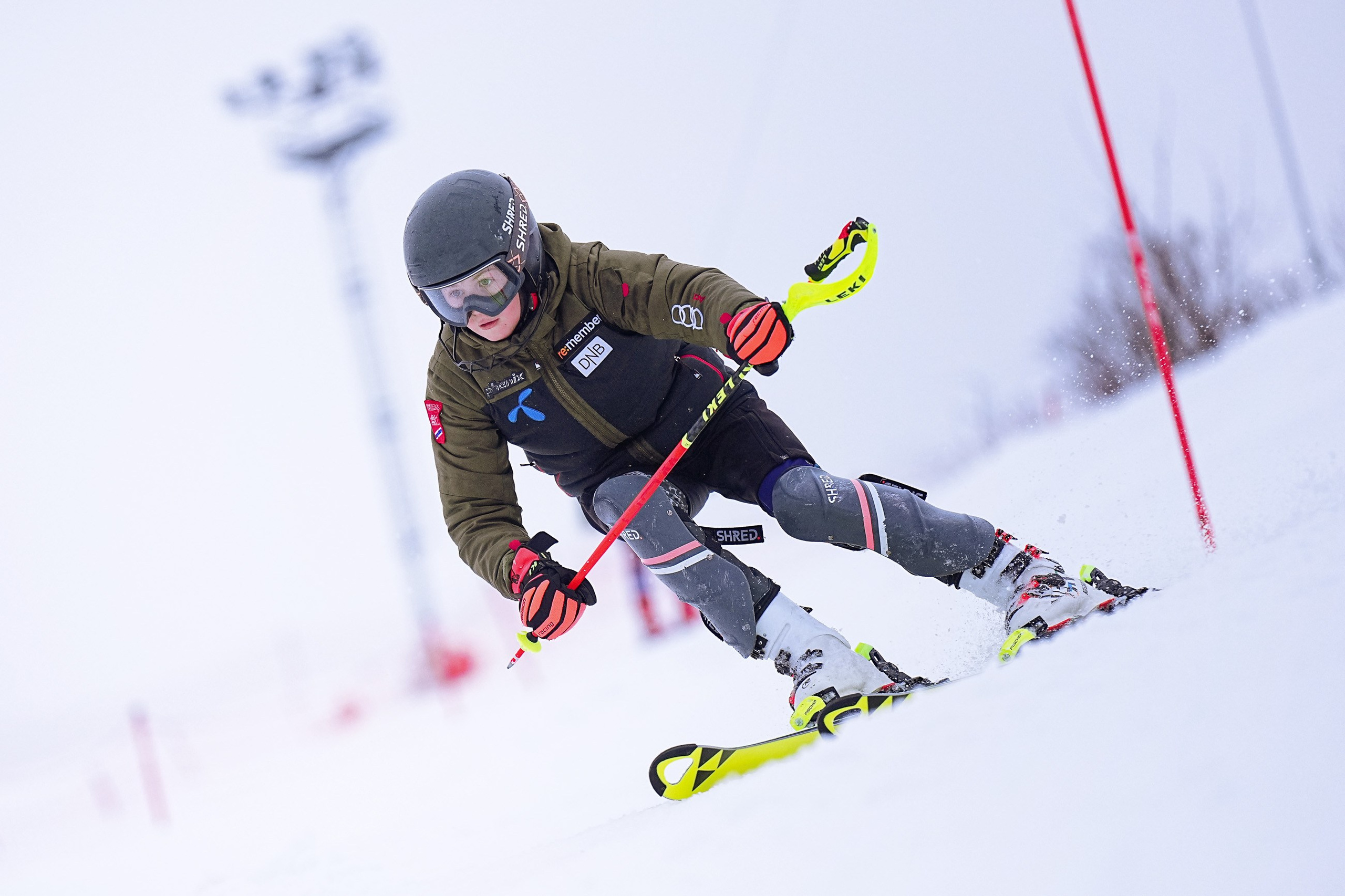 Волен. Тренировка. SL, 2024. Фотограф Студитский Евгений