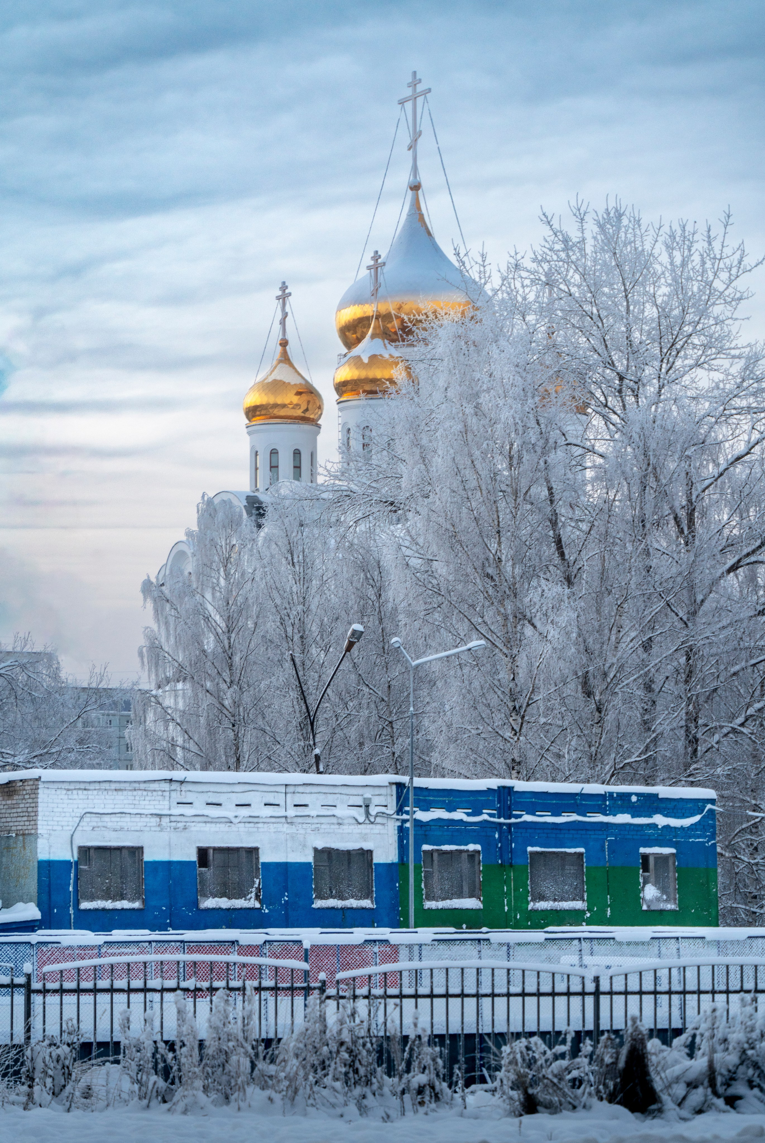 Жанровая фотография. Фотограф Семён Родов