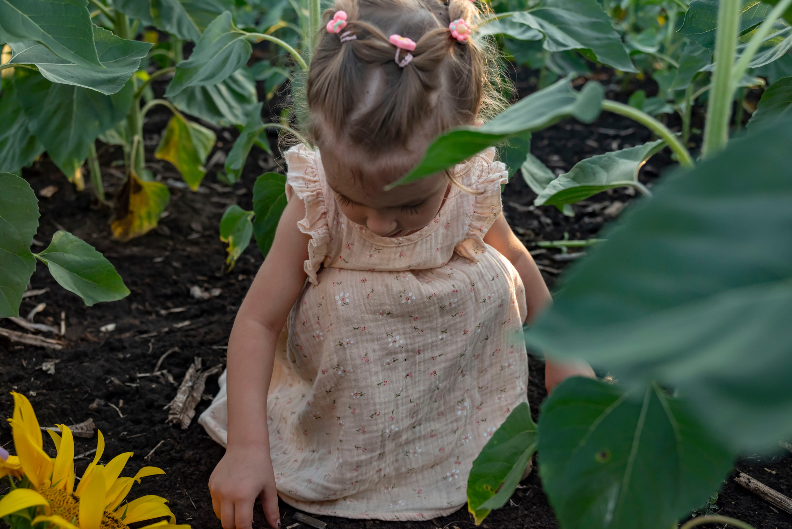 Летняя прогулка. Главная