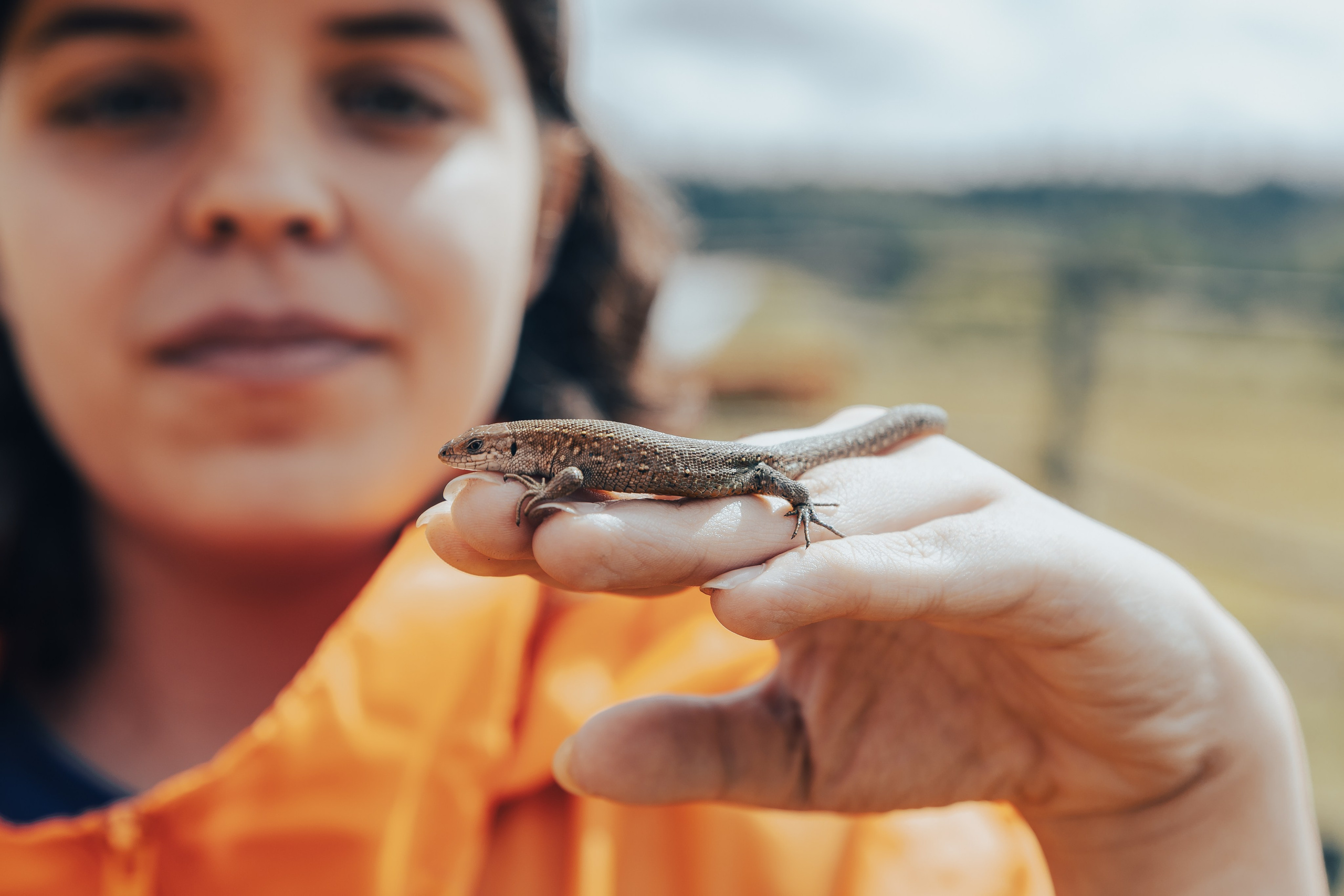 КОРПОРАТИВ ЛЕТНИЙ. Главная