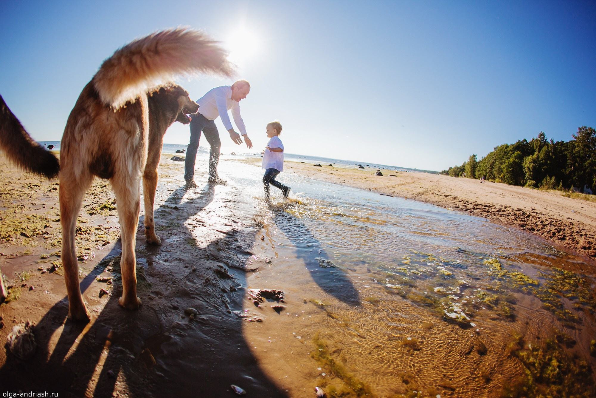 Про Сергея, Сашку, Дашу и Настеньку. Семейный, портретный и свадебный фотограф в Санкт-Петербурге и Москве