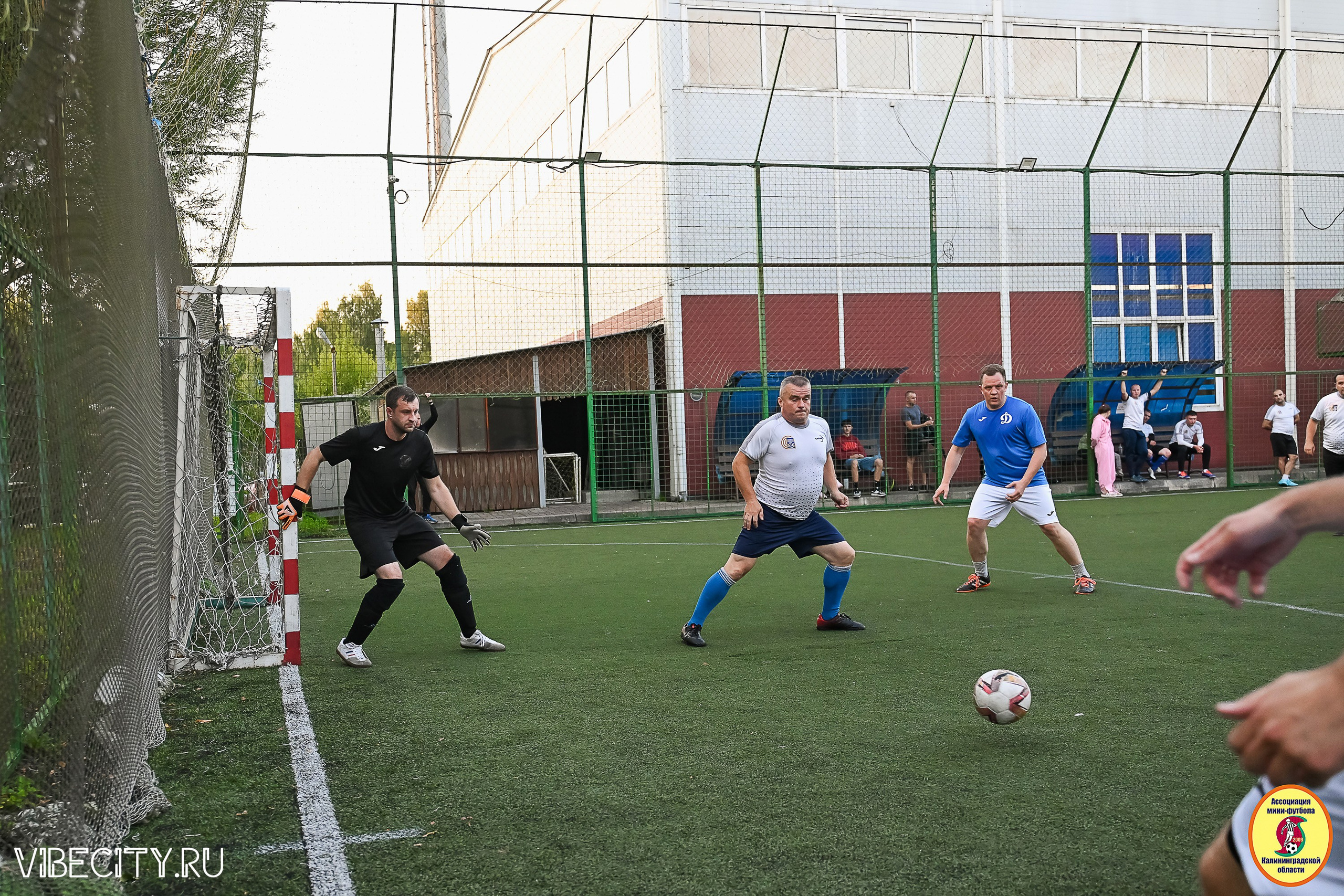 ИГРЫ ПЛЕЙ-ОФФ ПЕРВОГО ДИВИЗИОНА МИНИ-ФУТБОЛЬНОЙ ЛИГИ. VIBECITY.RU Вайб Сити Ру Фоторепортажи Фотоотчеты Калининград
