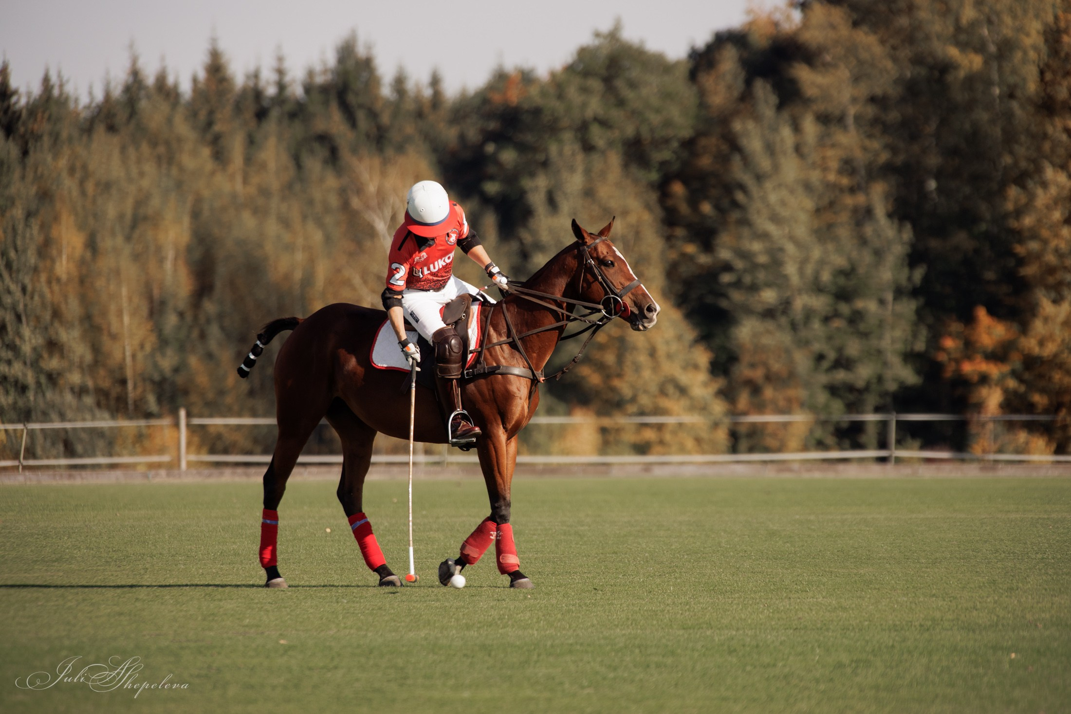 Осенний кубок по конному поло. Детская Конная фотография в Москве Юлия Шепелева