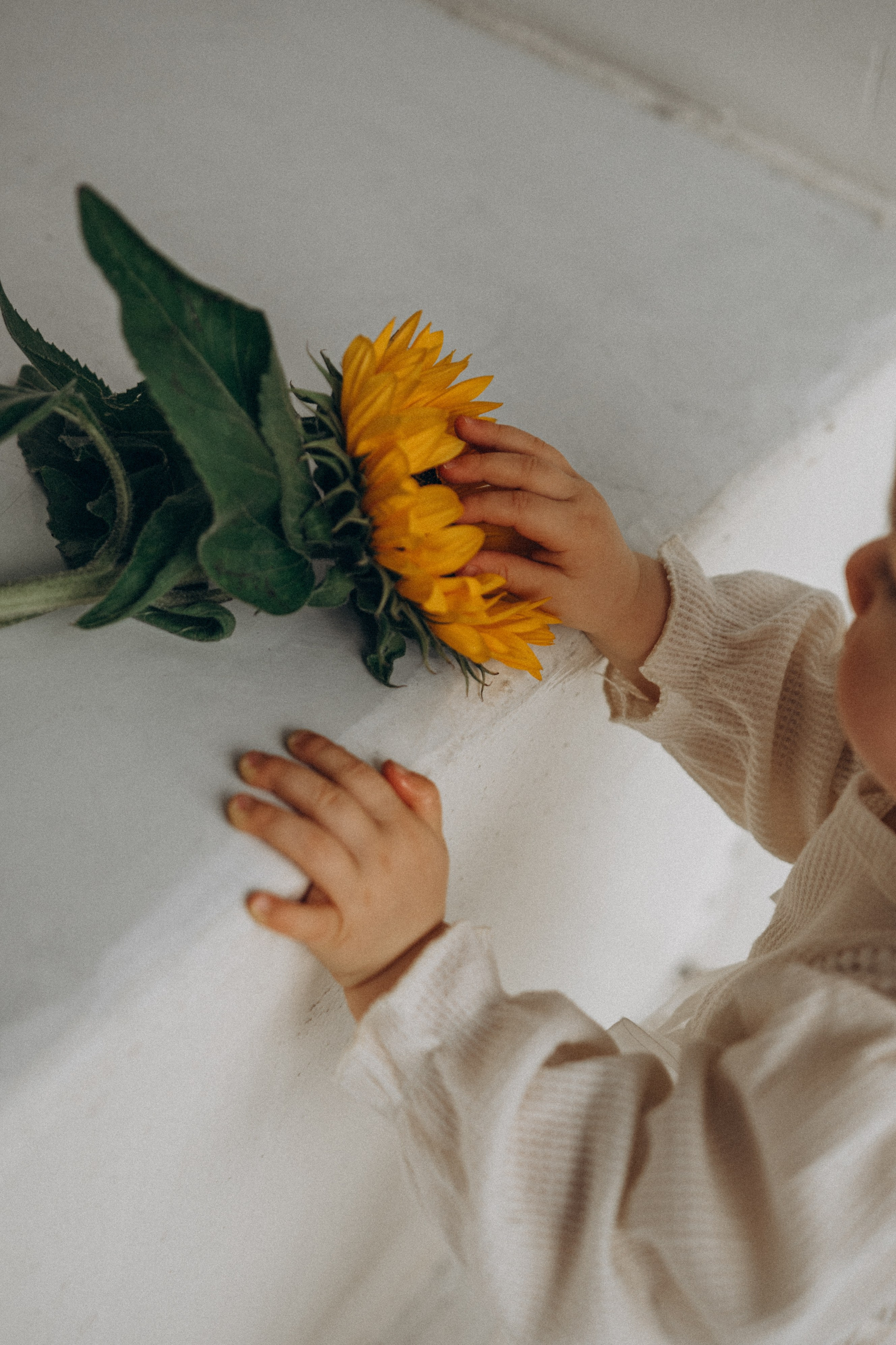 Полина. Гаврилова Настя семейный фотограф lifestyle в Москве