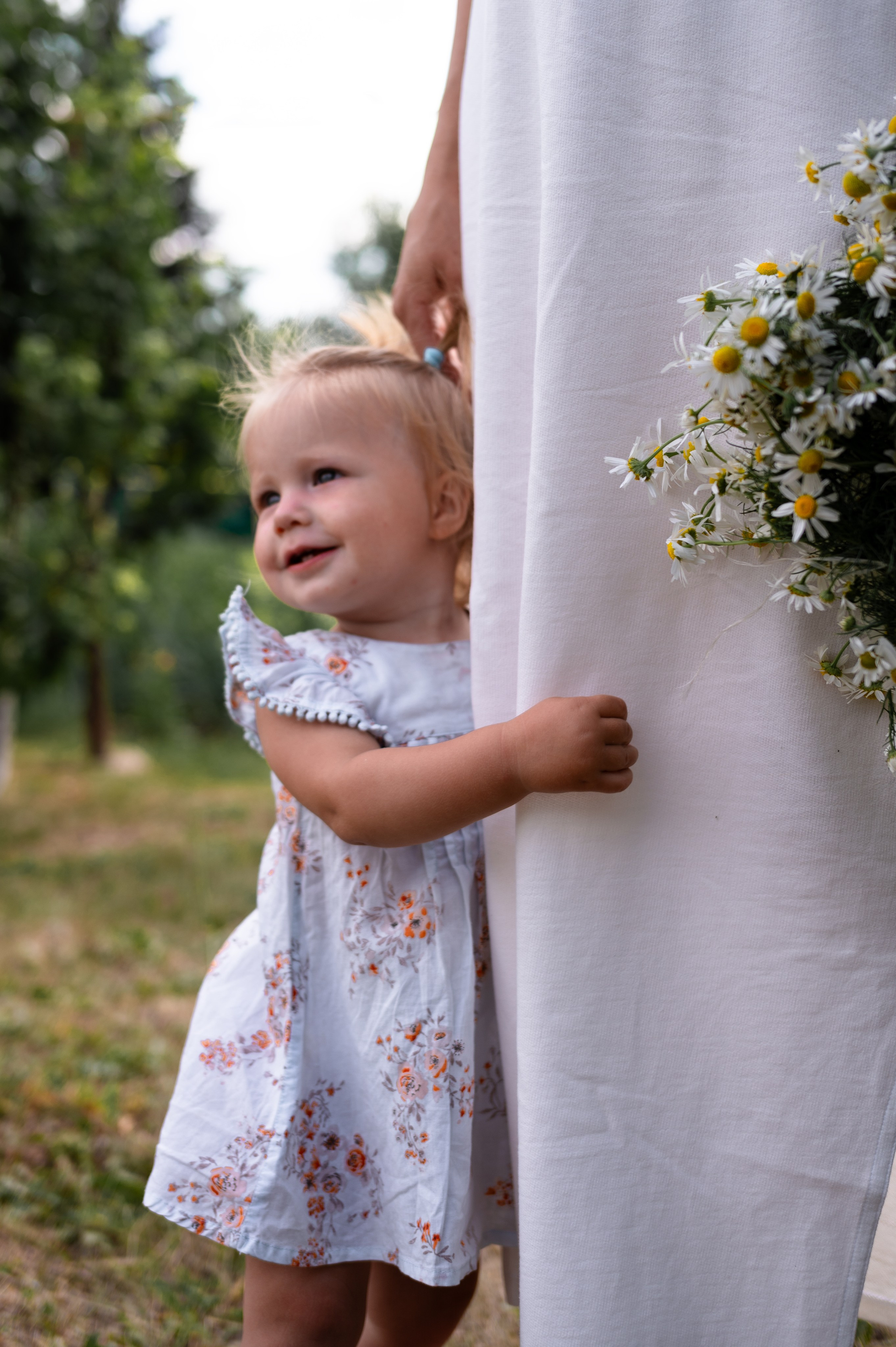 Ромашки и утята. Главная