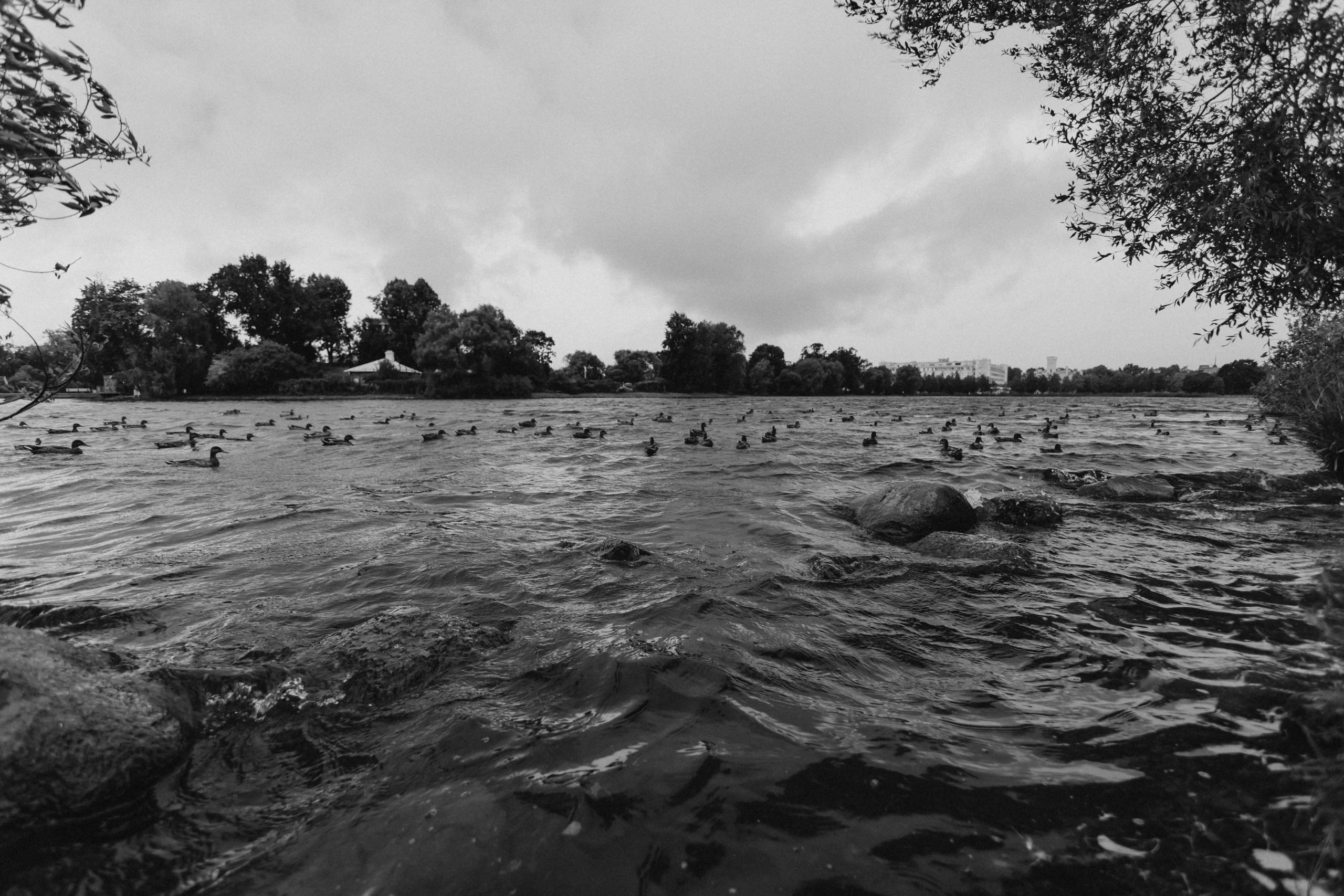 Миша и Лена. Свадебный и семейный фотограф в Санкт-Петербурге Александр Озеров