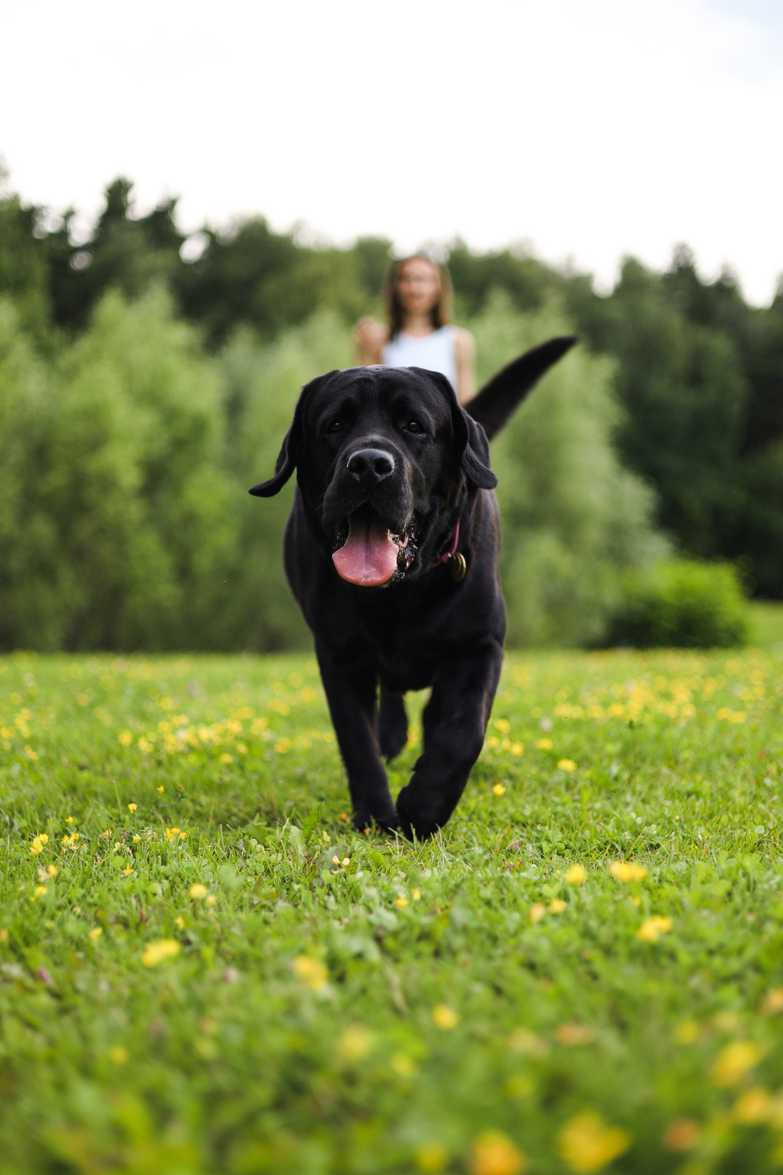 Найт и Соня. Фотограф-анималист Ксения Шевцова|Москва