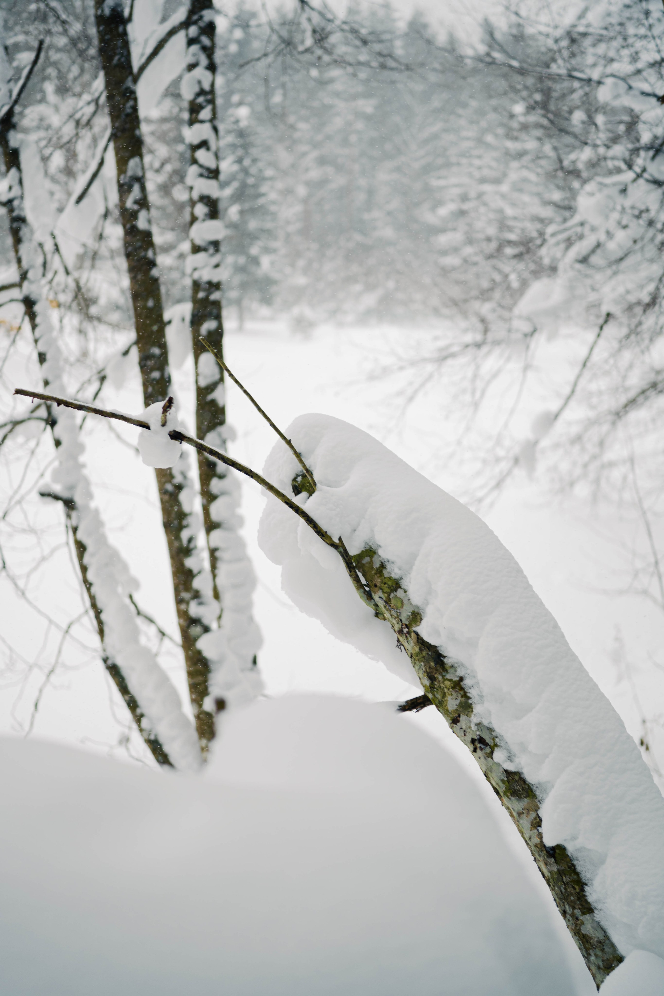 Skuratov Trail Run. Портретный и репортажный фотограф в Санкт-Петербурге Смоляков Максим