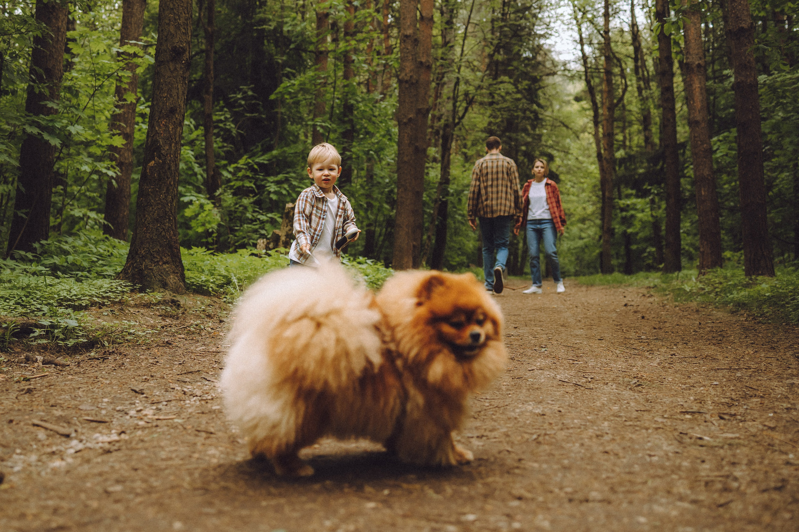 Лорик и его семья