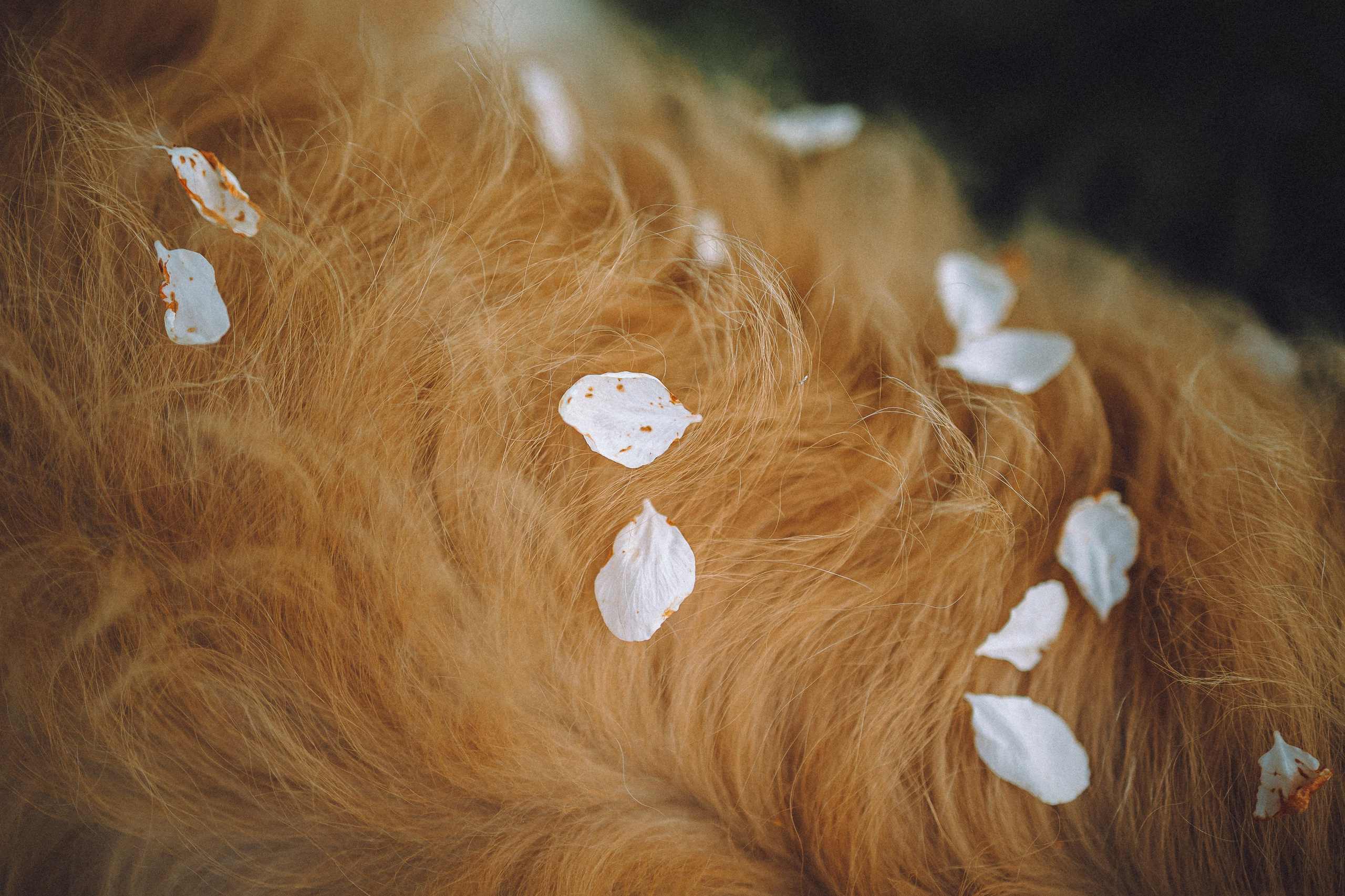 Илай, Зайка и их семья