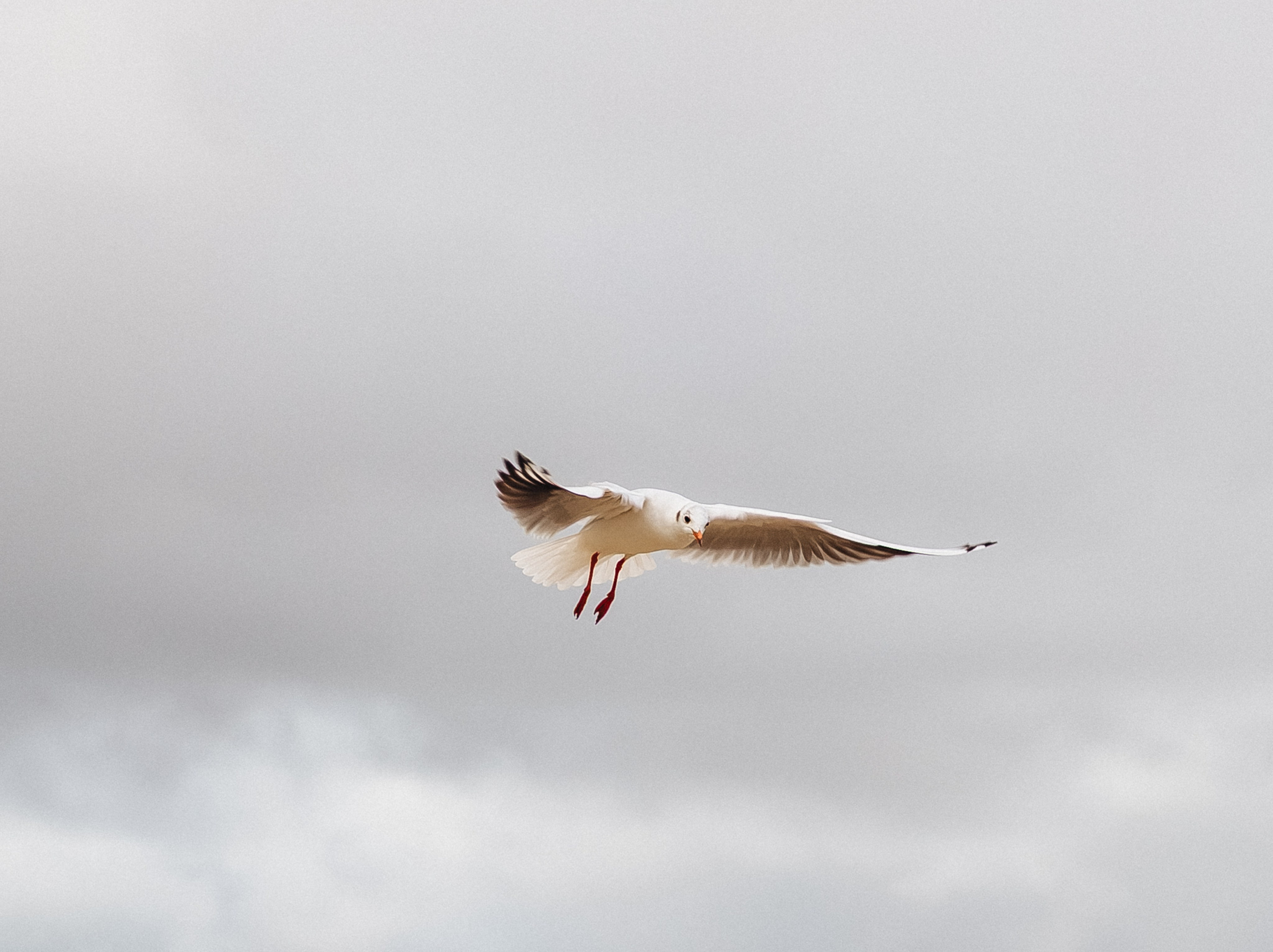 Sea_. Diana Chumakova