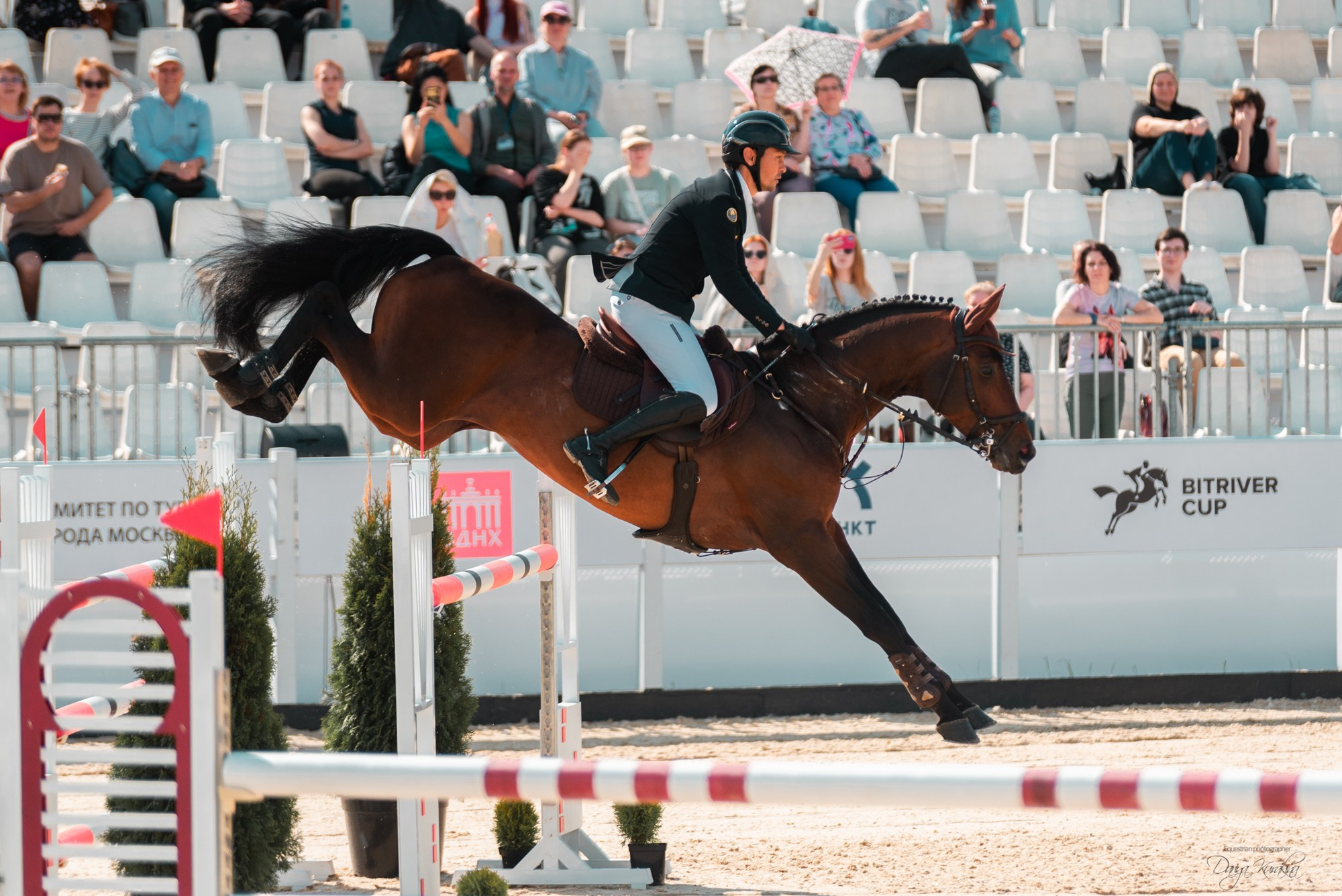 BITRIVER CUP 2023. Конный фотограф Куракина Дарья • Фотосессии с лошадьми