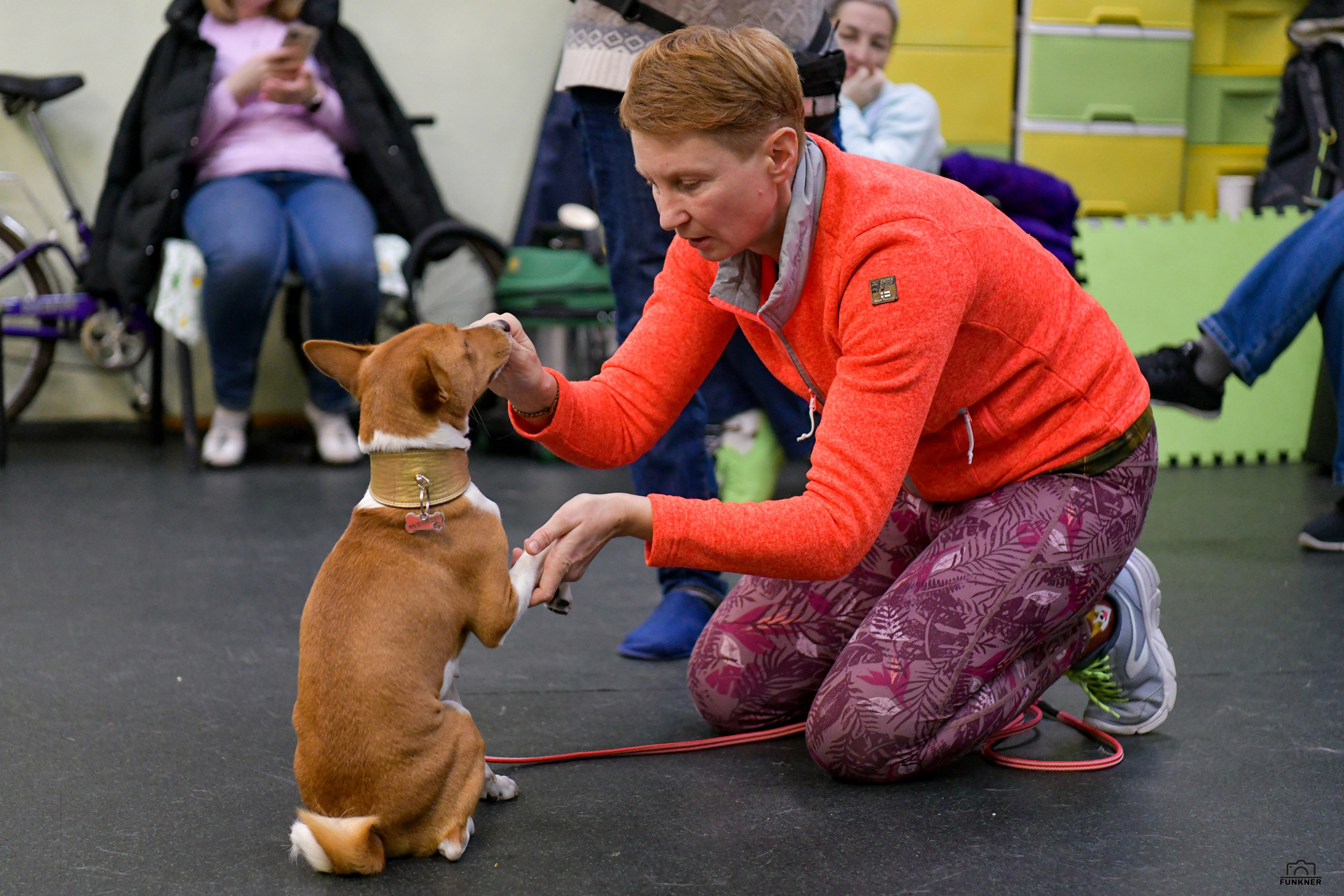 Кинологический клуб «Бодрый хвост». Свой взгляд через объектив