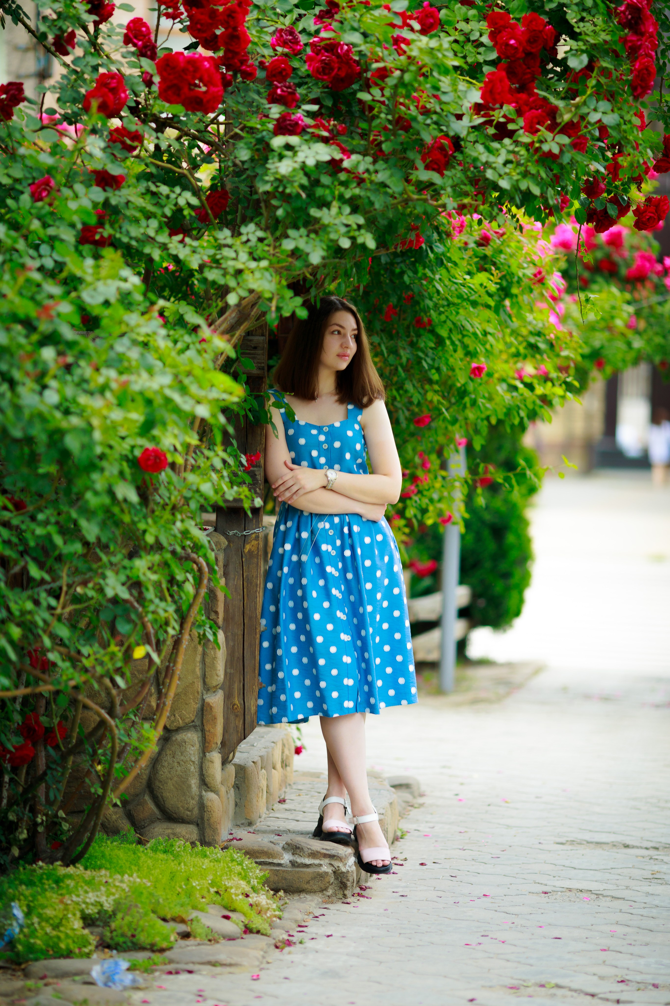 Лето. Профессиональный фотограф и видеооператор