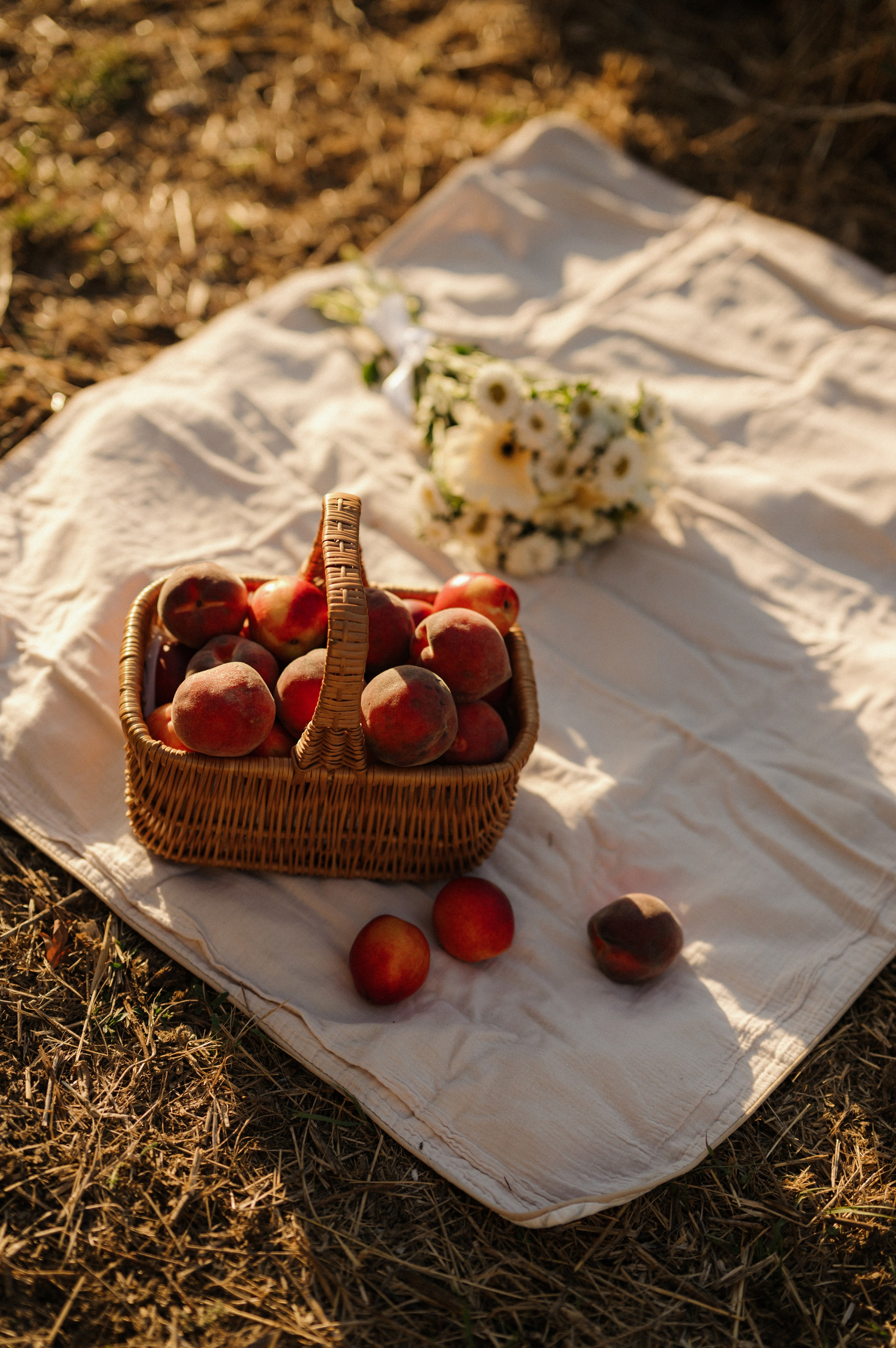 3 года. Свадебный и семейный фотограф Краснодар Майкоп Суслова Ольга