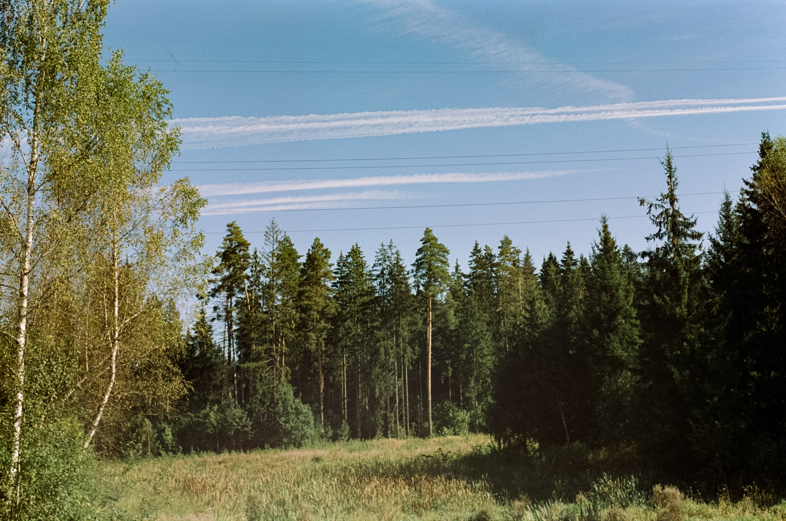 Mamiya-Sekor C 45mm f2.8 N обзор и примеры фотографий