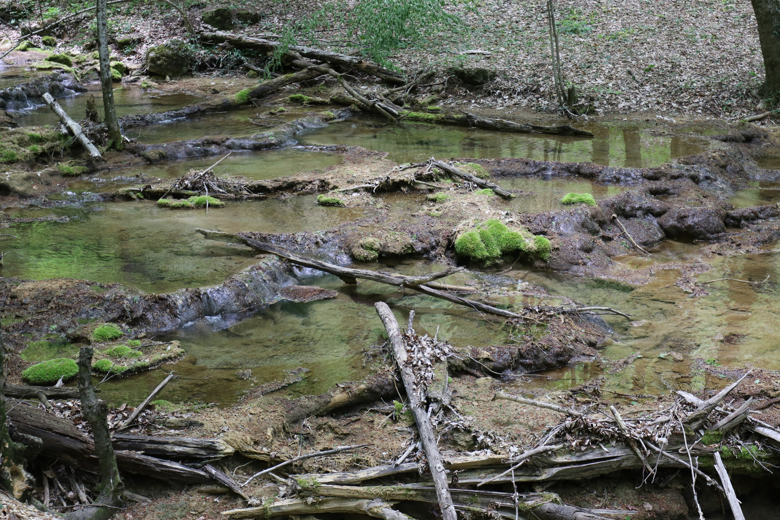 Крым. ЮБК (Бахчисарай, Демерджи, Судак). Первый скалолазный выезд. Май 2019. Путешественник-фотограф из Санкт-Петербурга Татьяна Свистулина