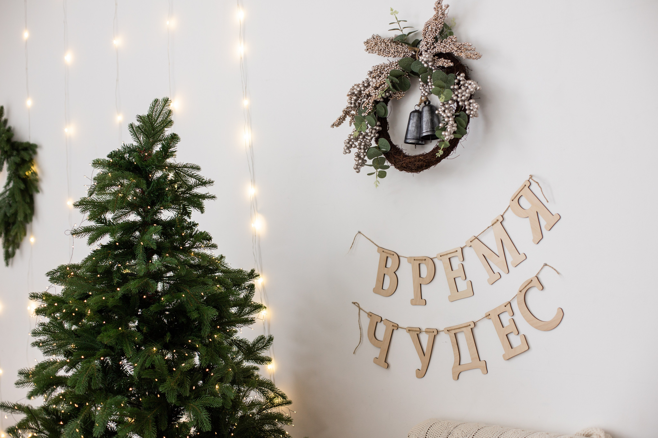 Циклорама. Фотограф г. Хабаровск. Семейные и индивидуальные съёмки