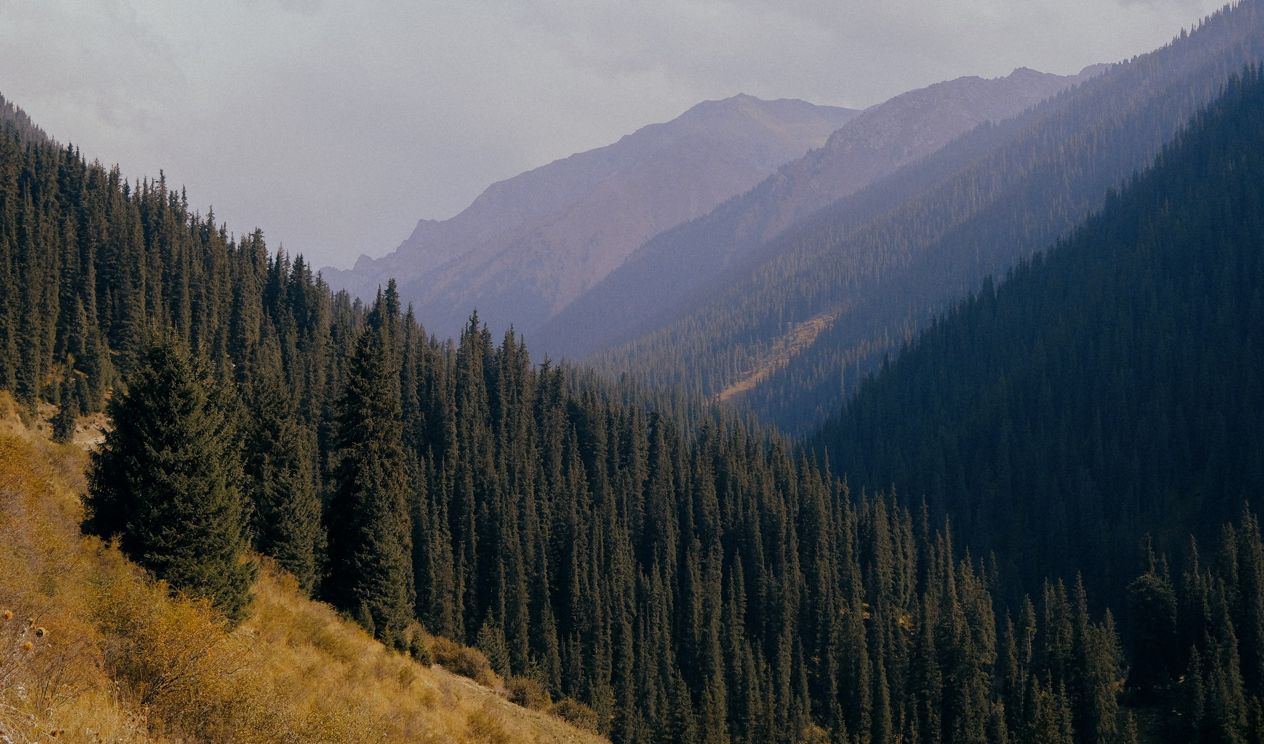 Кыргызстан. Фотограф Дмитрий Олрайт | Калуга, Россия