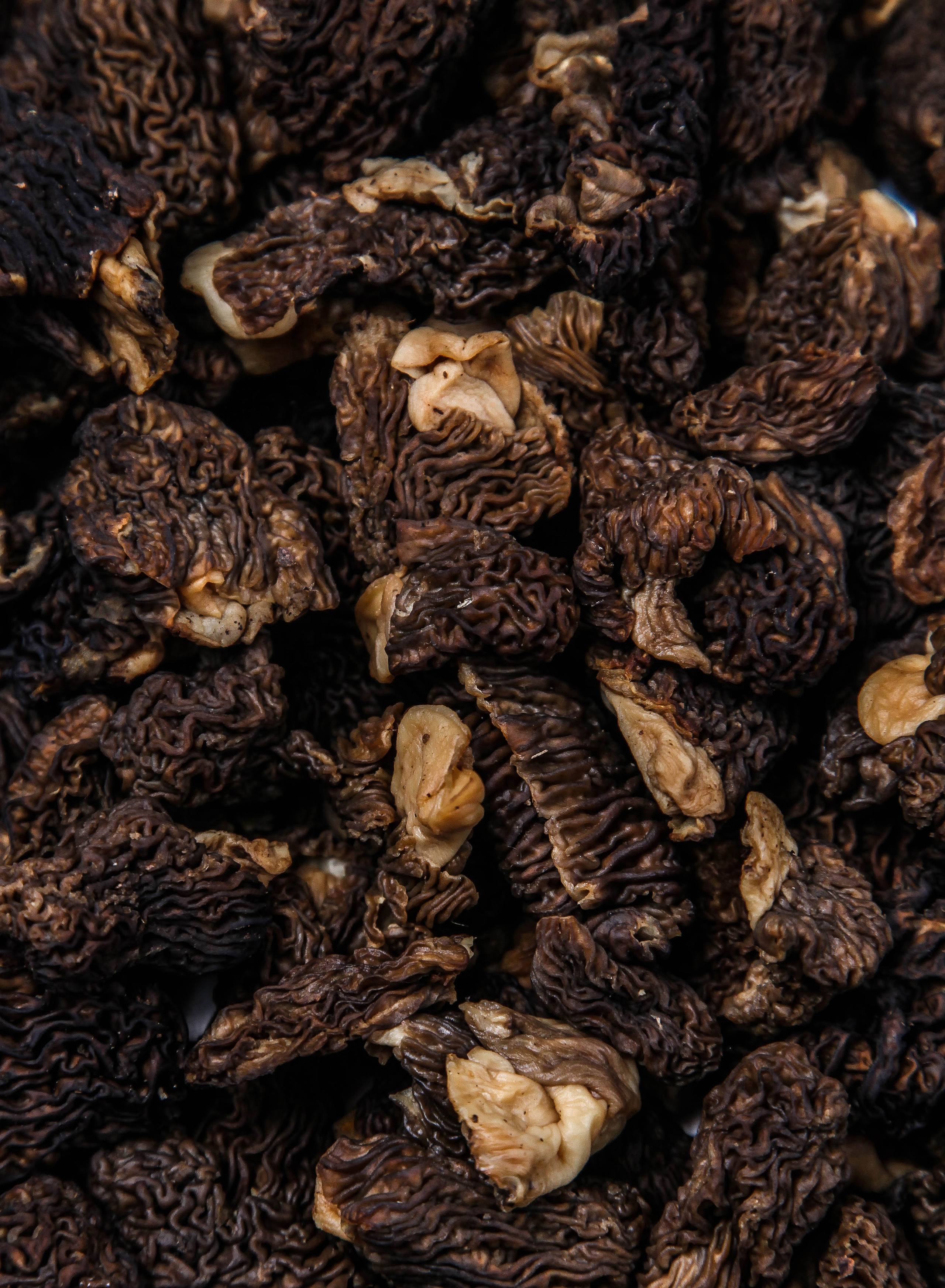 Ресторан Commons | наб. канала Грибоедова, 39. Фуд-фотограф и видеограф из Петербурга