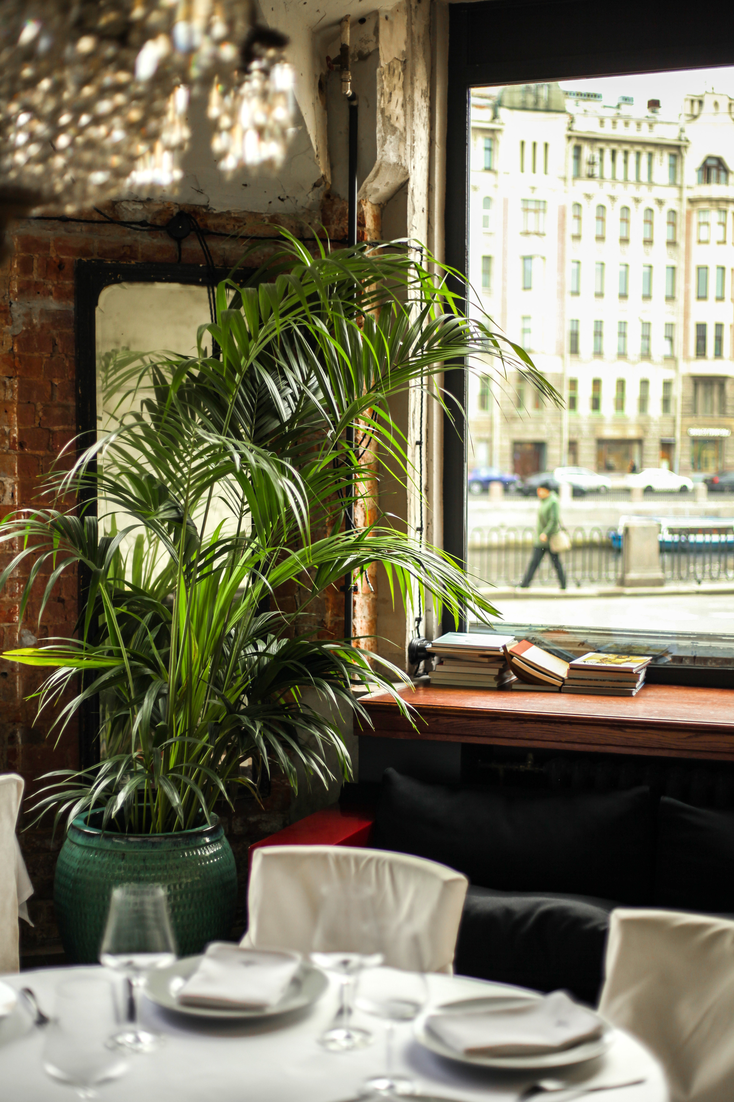 Кафе «Рубинштейн» | Команда и интерьер. Фуд-фотограф из Петербурга