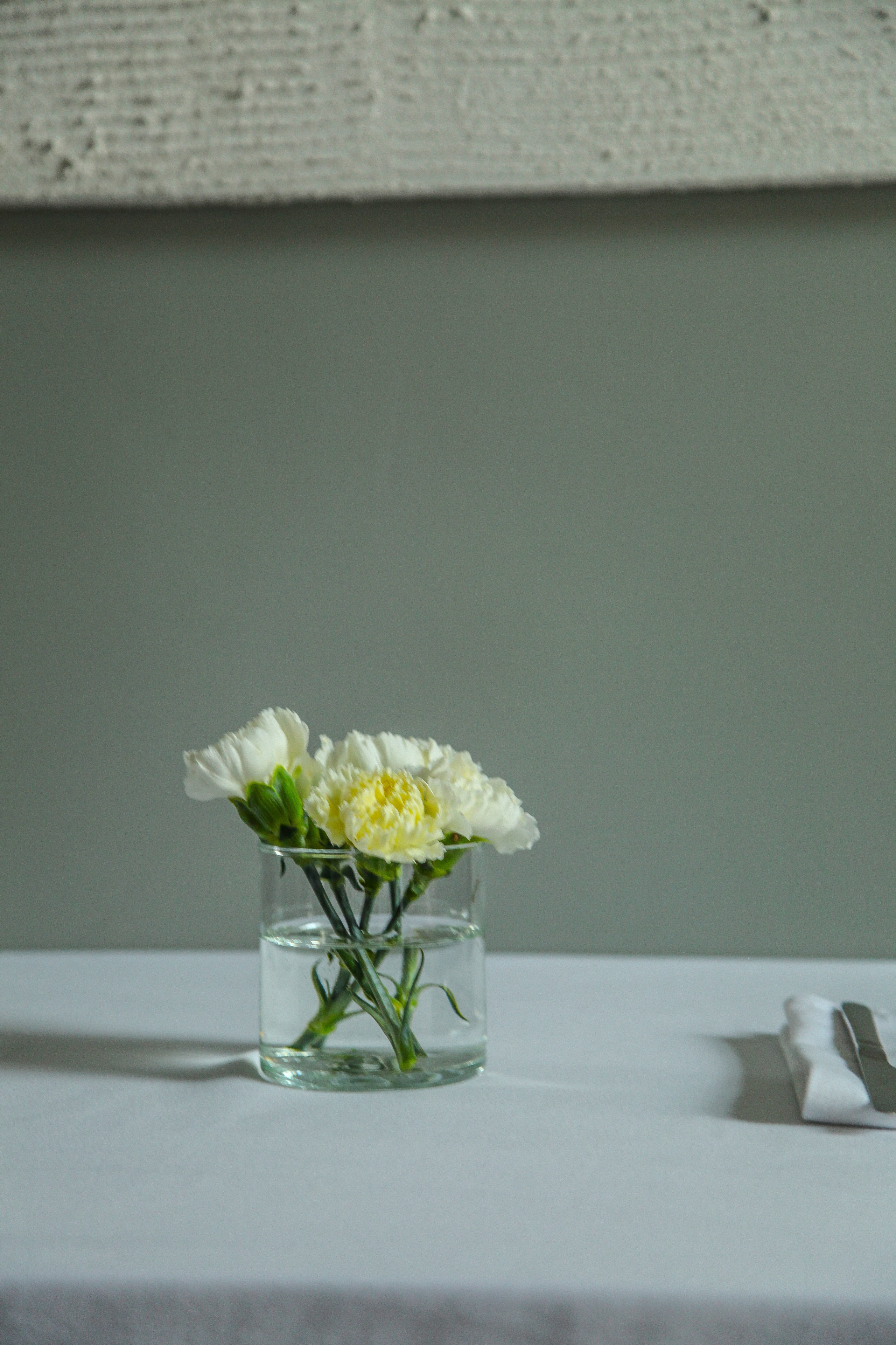 Ресторан Gino | Репортаж и интерьер. Фуд-фотограф из Петербурга