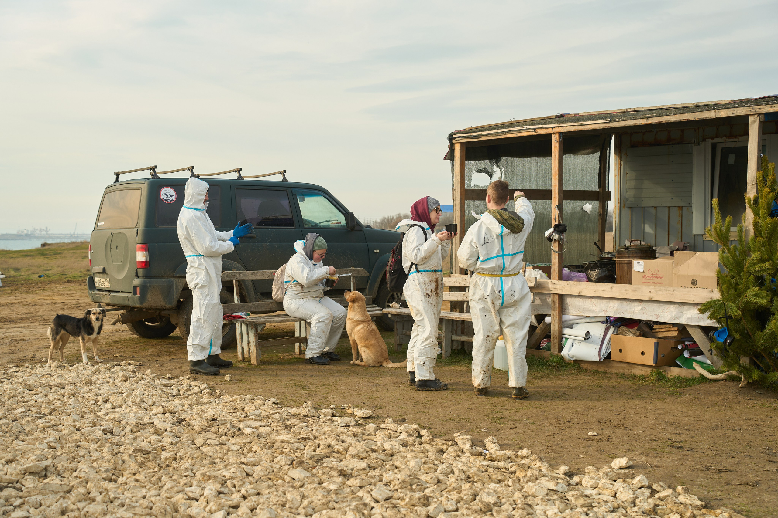 Black Sea. Ksenia Arefieva