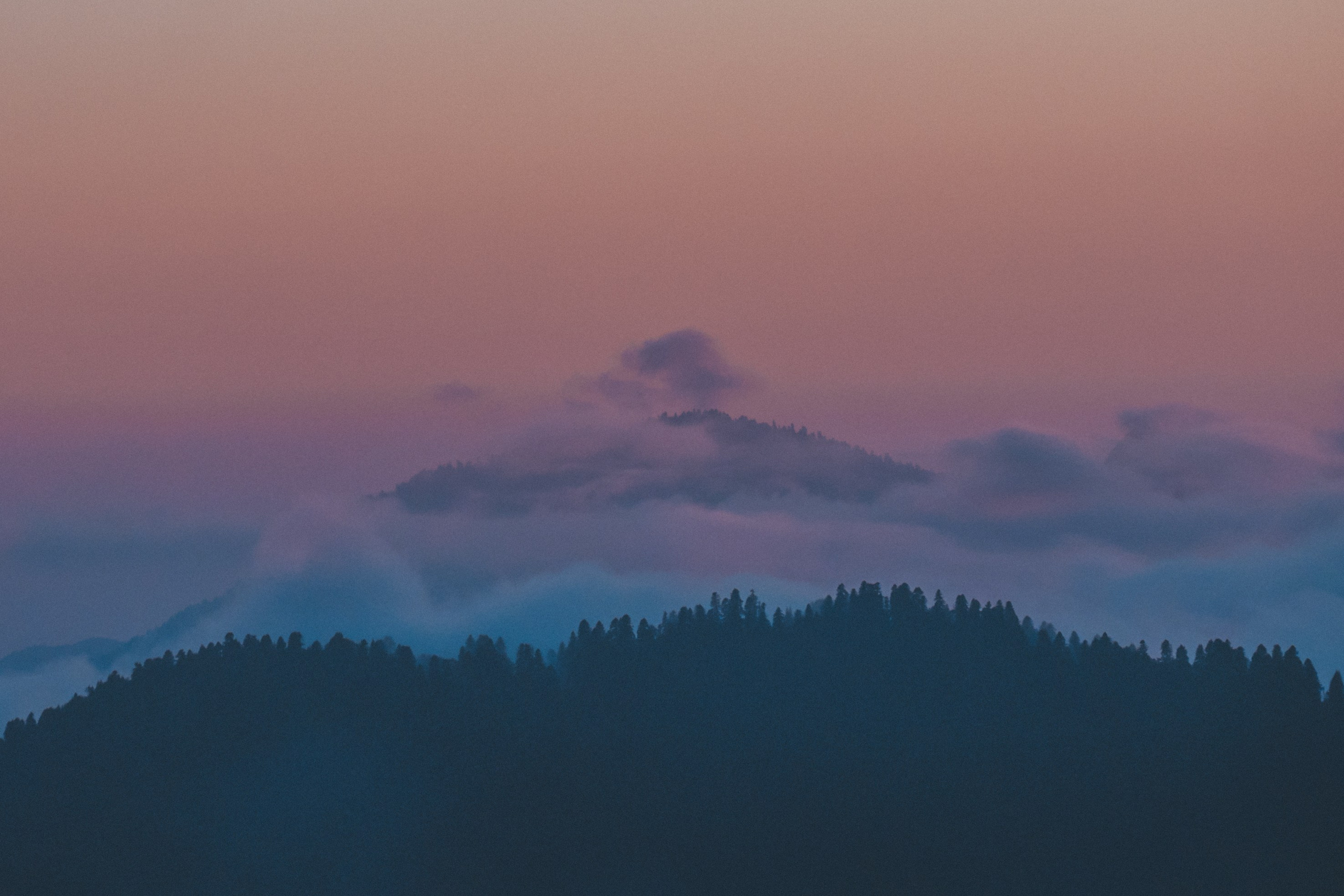 Нахазо ✽ Июль. Репортажный фотограф | Роза Хутор Красная Поляна Сочи Сириус