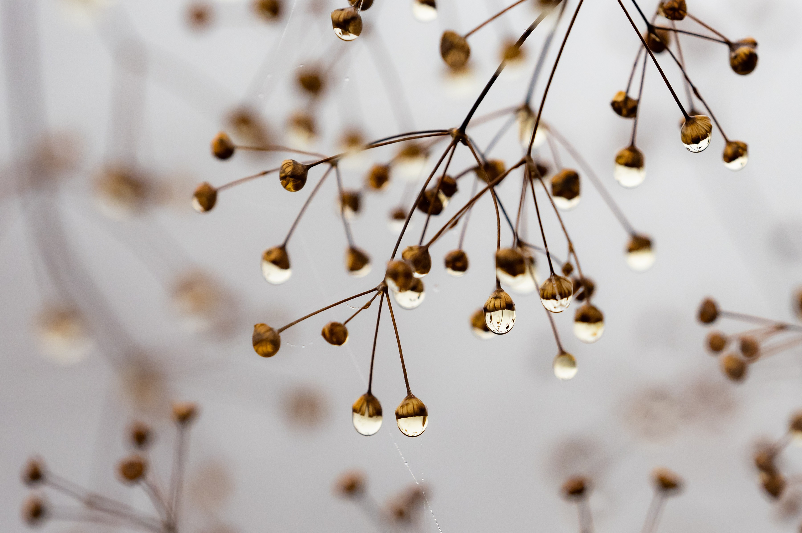 Красота Заречного. Репортажный, семейный и детский фотограф в Пензе и Заречном Арина Ермилова. Картины барельеф на заказ