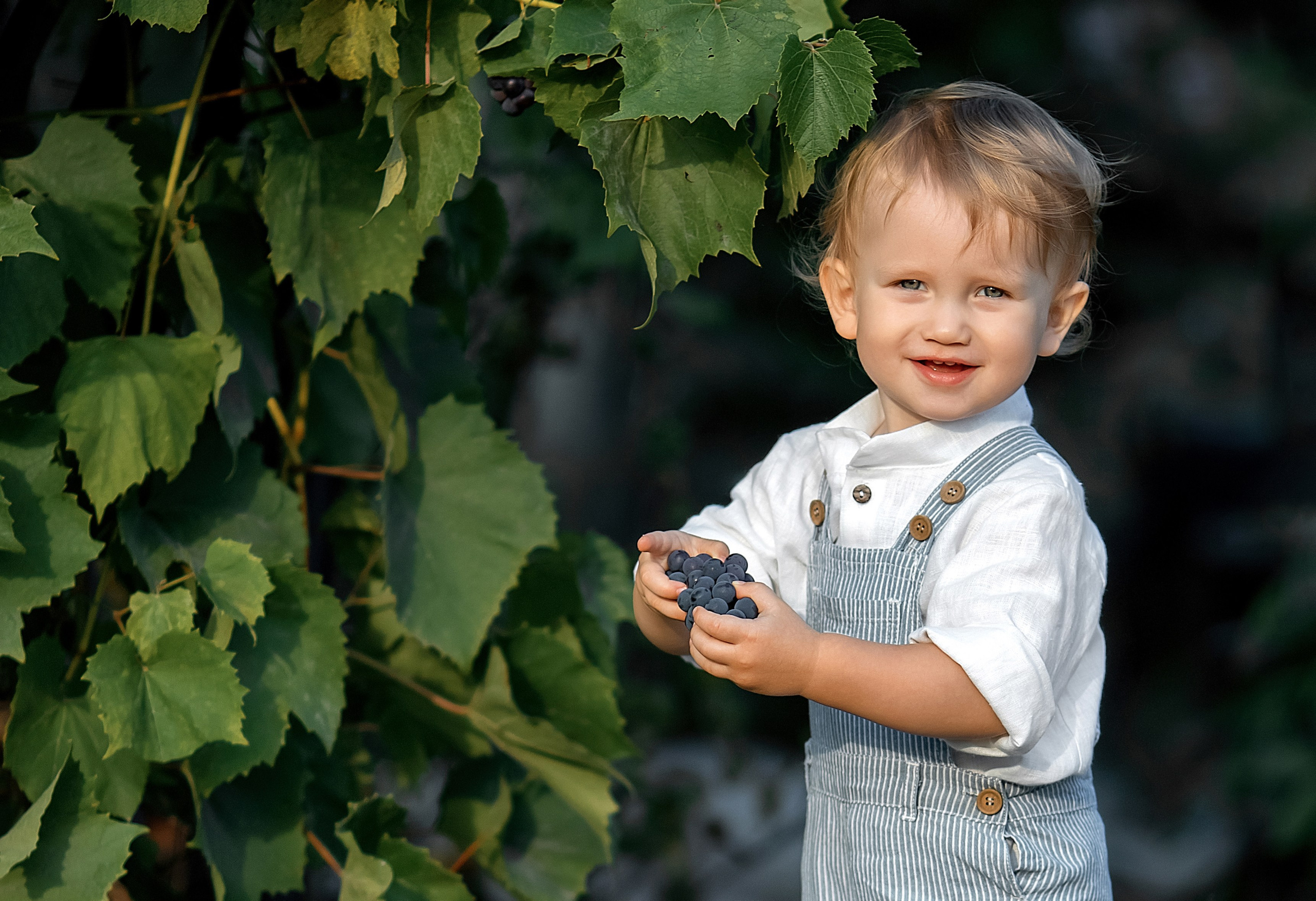 Свадебный и семейный фотограф в Туле и Москве Полукарова Юлия