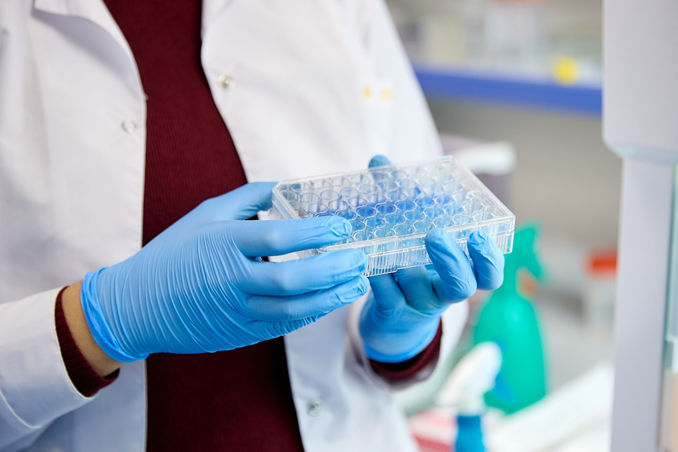 Университетские смены 2025. Репортажный и студийный фотограф во Владивостоке Дударева Софья