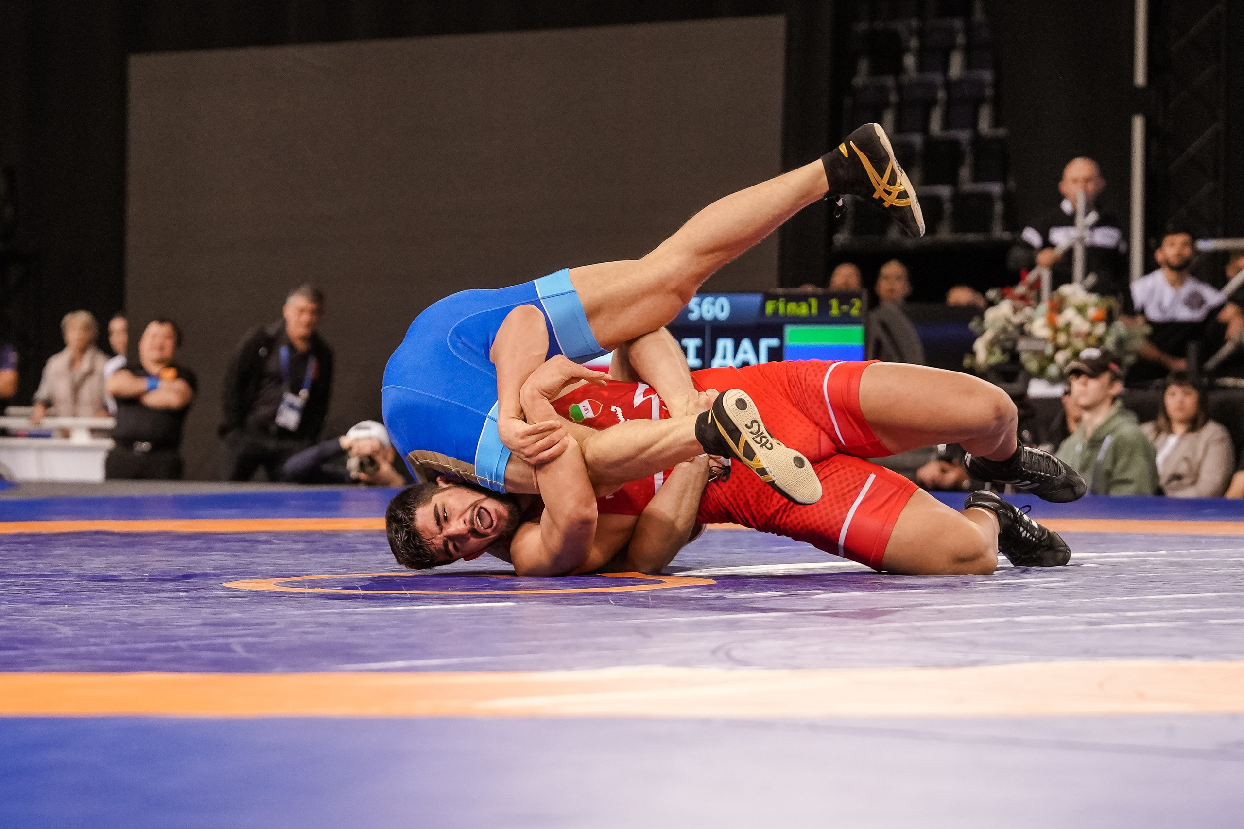 Кубок Ивана Ярыгина 2024 фото / Ivan Yarygin Cup 2024 photos. Фотограф Анна Герман. Красноярск