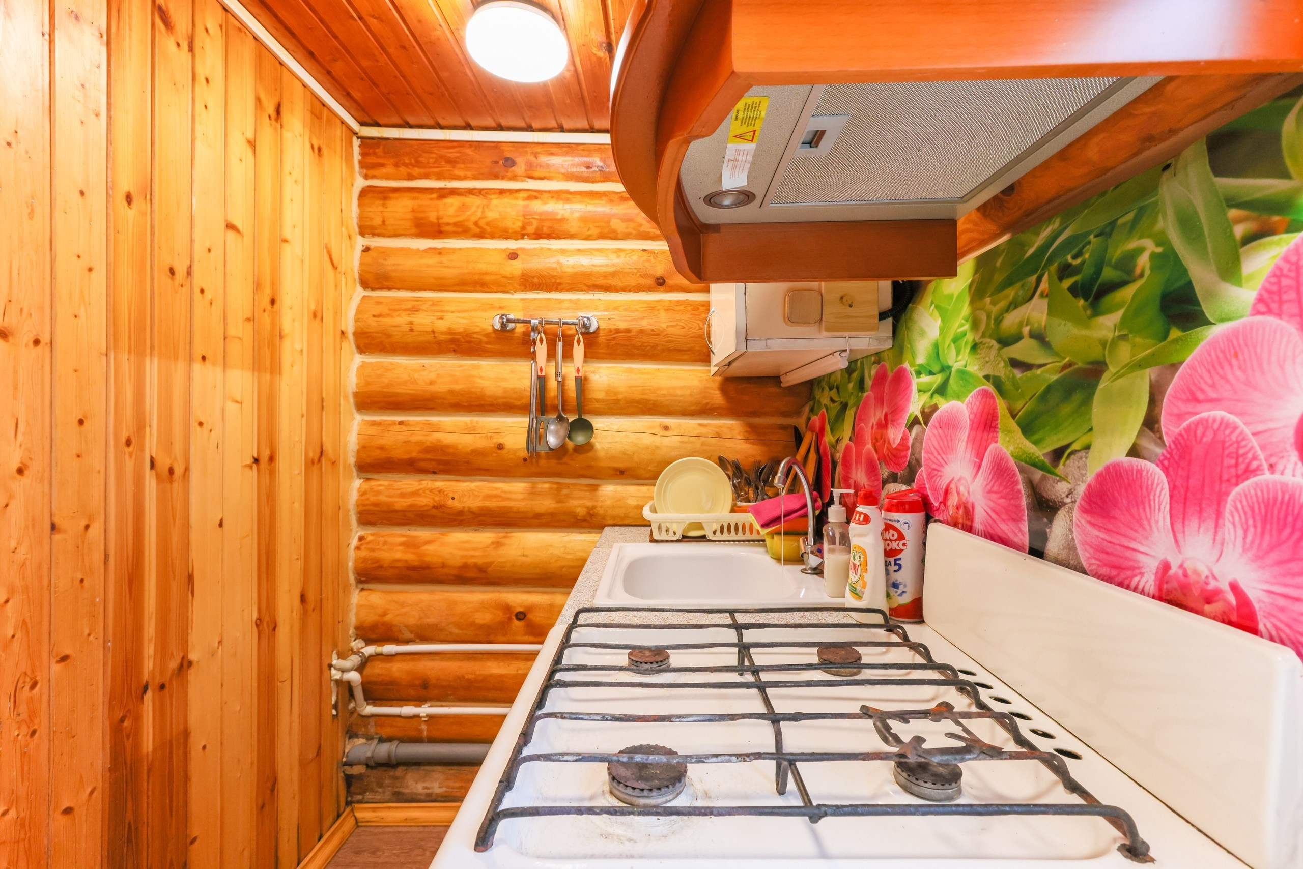 База отдыха «Приокская поляна». Фотограф в Туле Крупский АнДРей. Фотостудия «КАДР71» в Туле