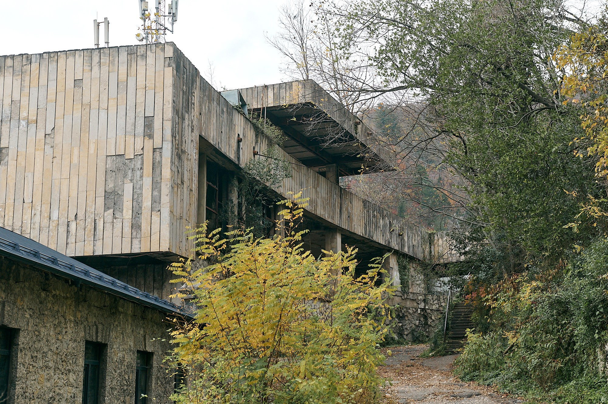 Гагра, Абхазия. Декабрь 2024. Фотографии отовсюду и обо всем