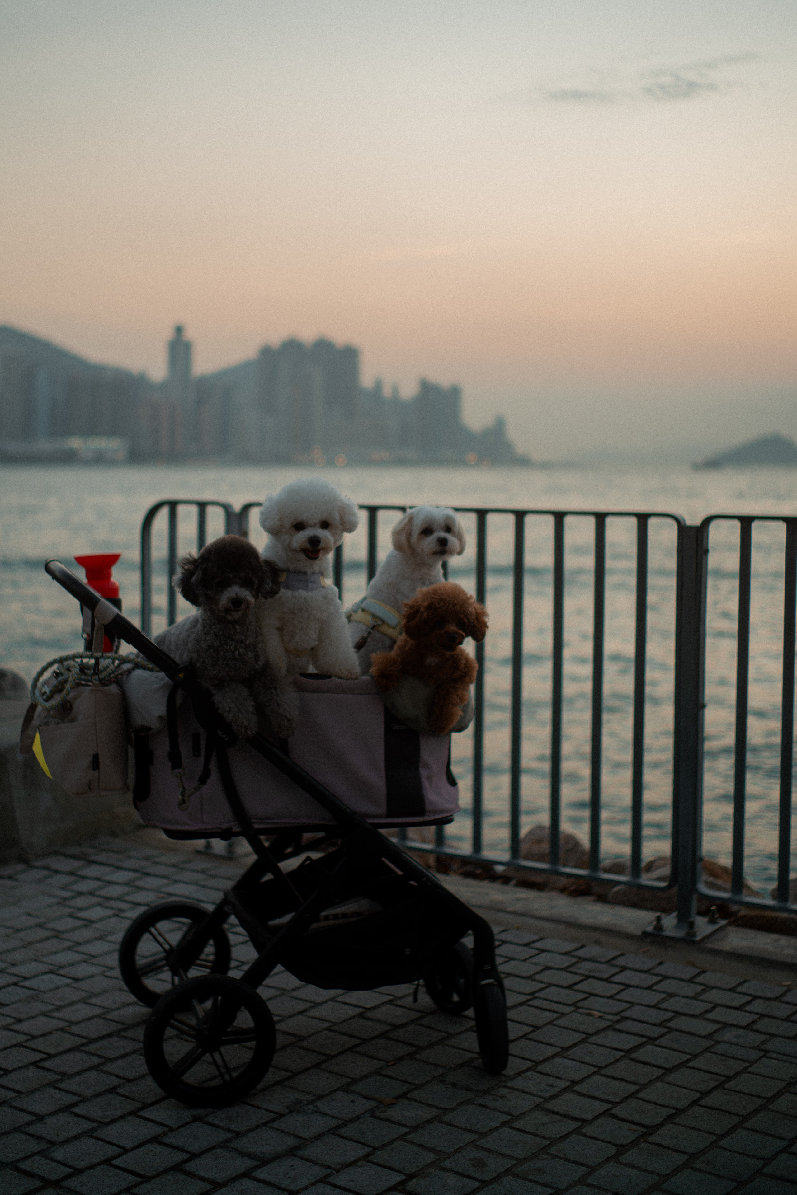 ГОНКОНГ 2026. Фото| Видео продакшн | Александр Ярков