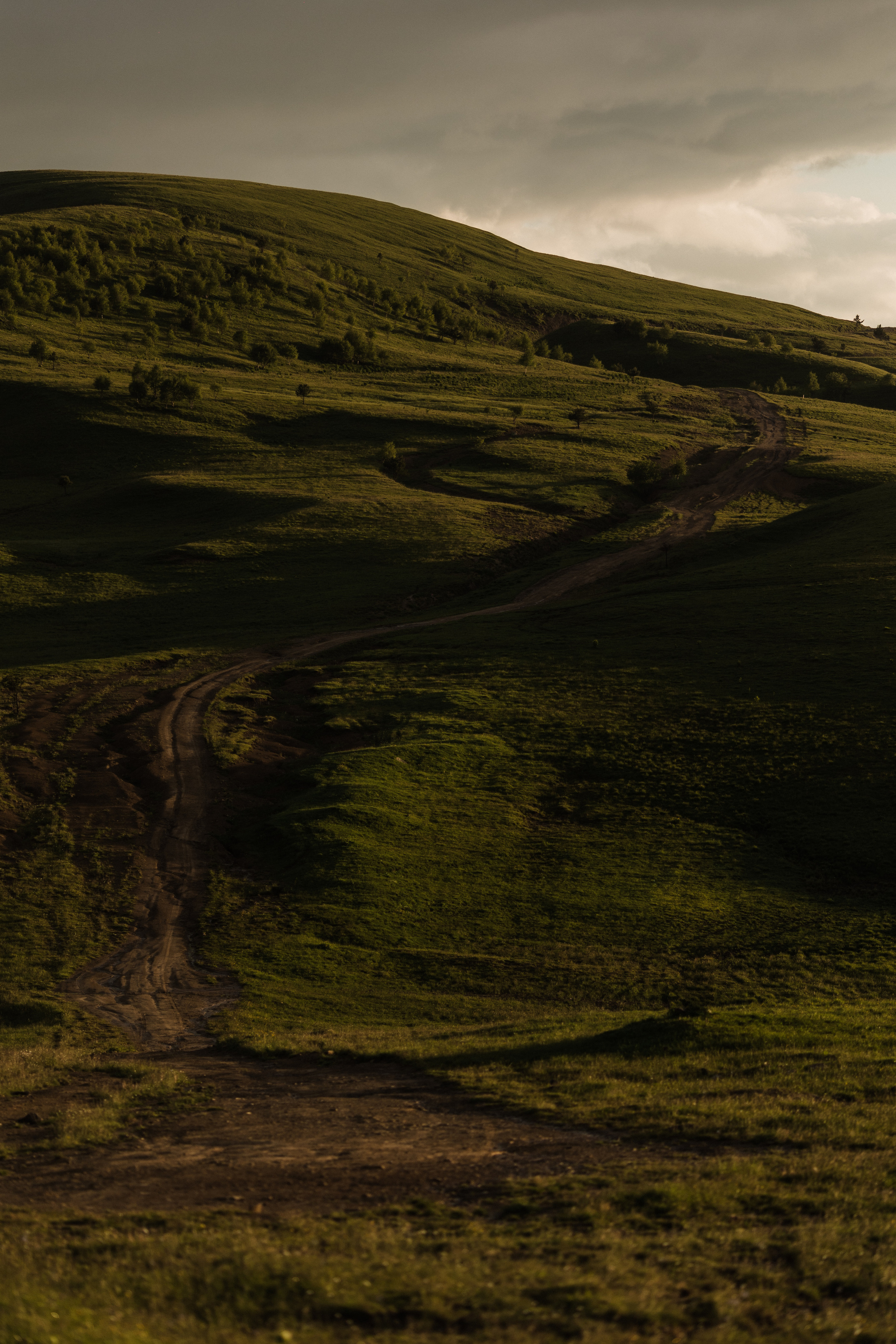 Эльбрус. Свадебный и семейный фотограф в Краснодаре Роман Моско