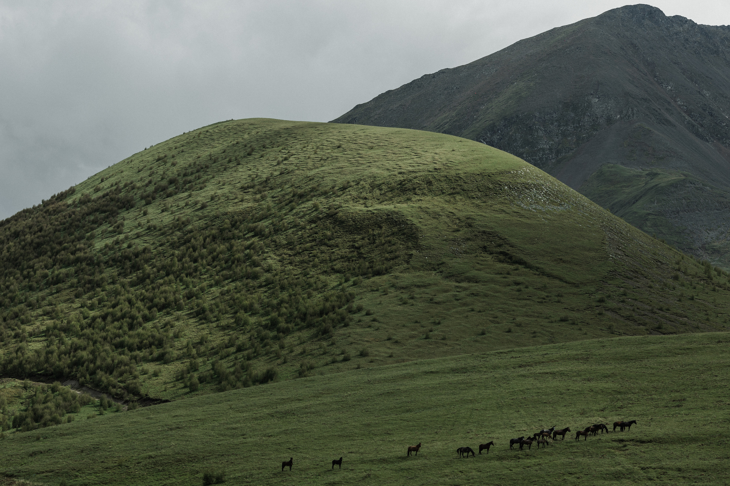 Эльбрус. Свадебный и семейный фотограф в Краснодаре Роман Моско