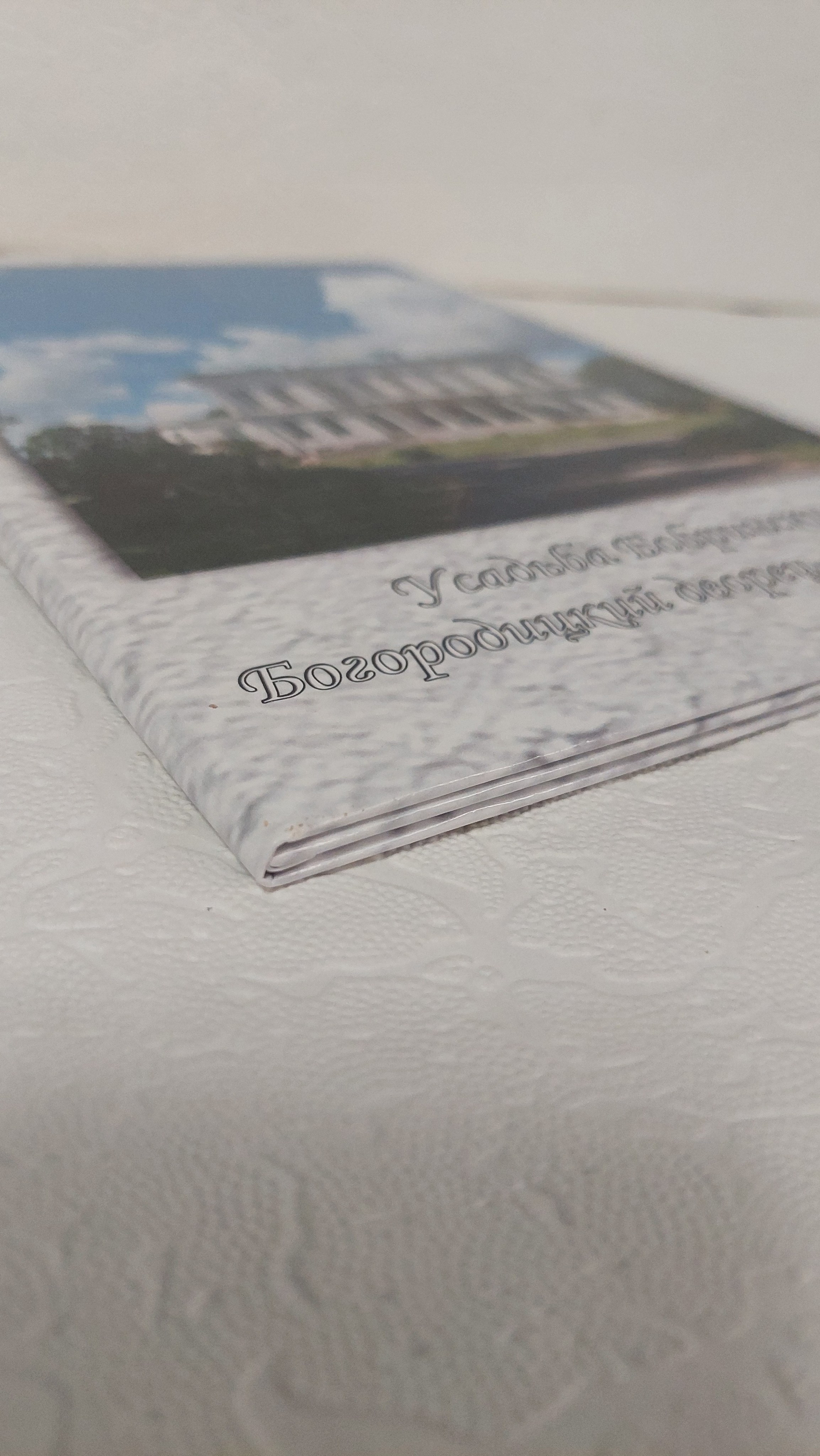 Трюмо. Богородицк. Fotounata.ru