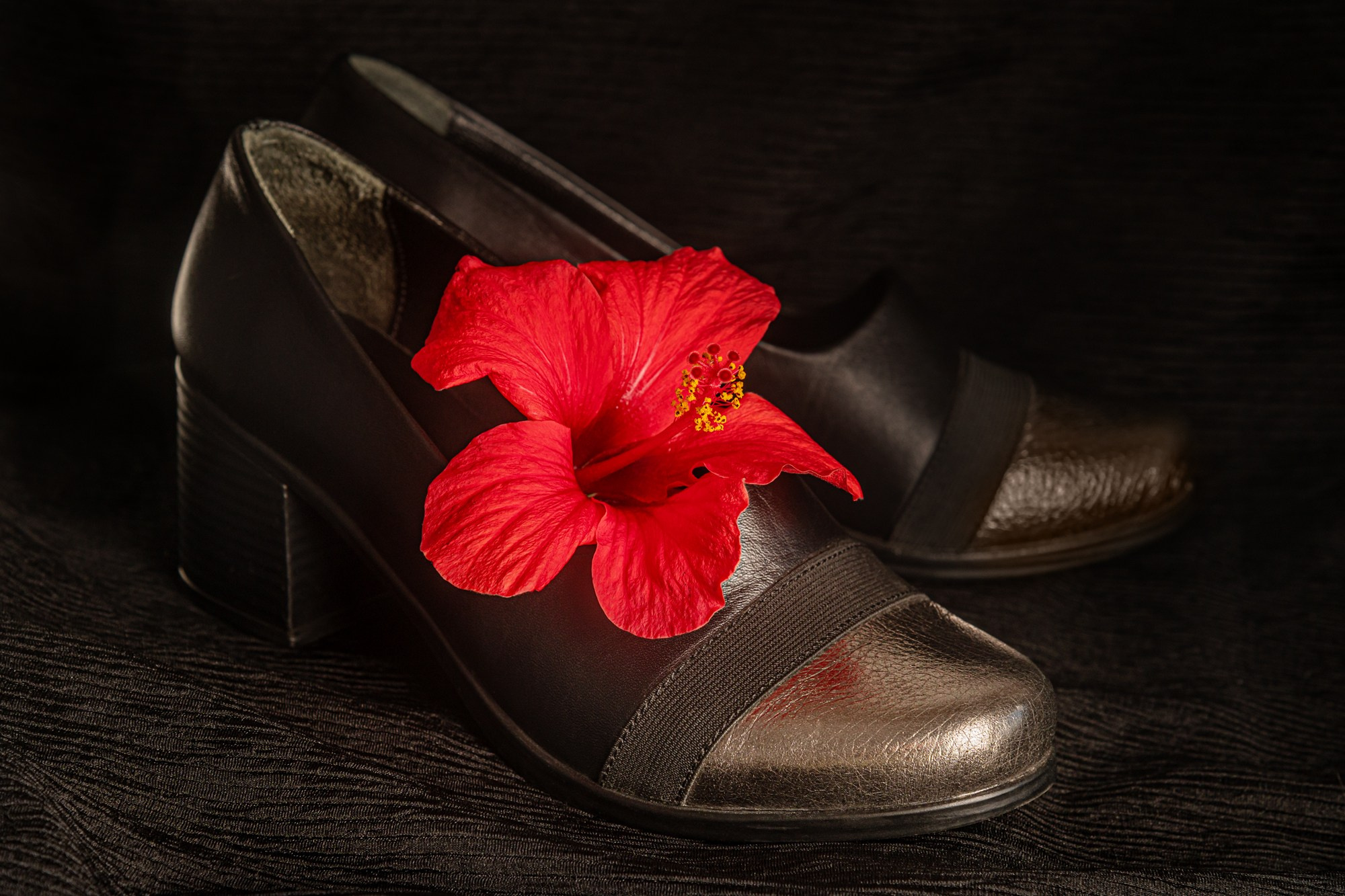 Still life. Мария Абаза, фотограф. Реховот, Израиль