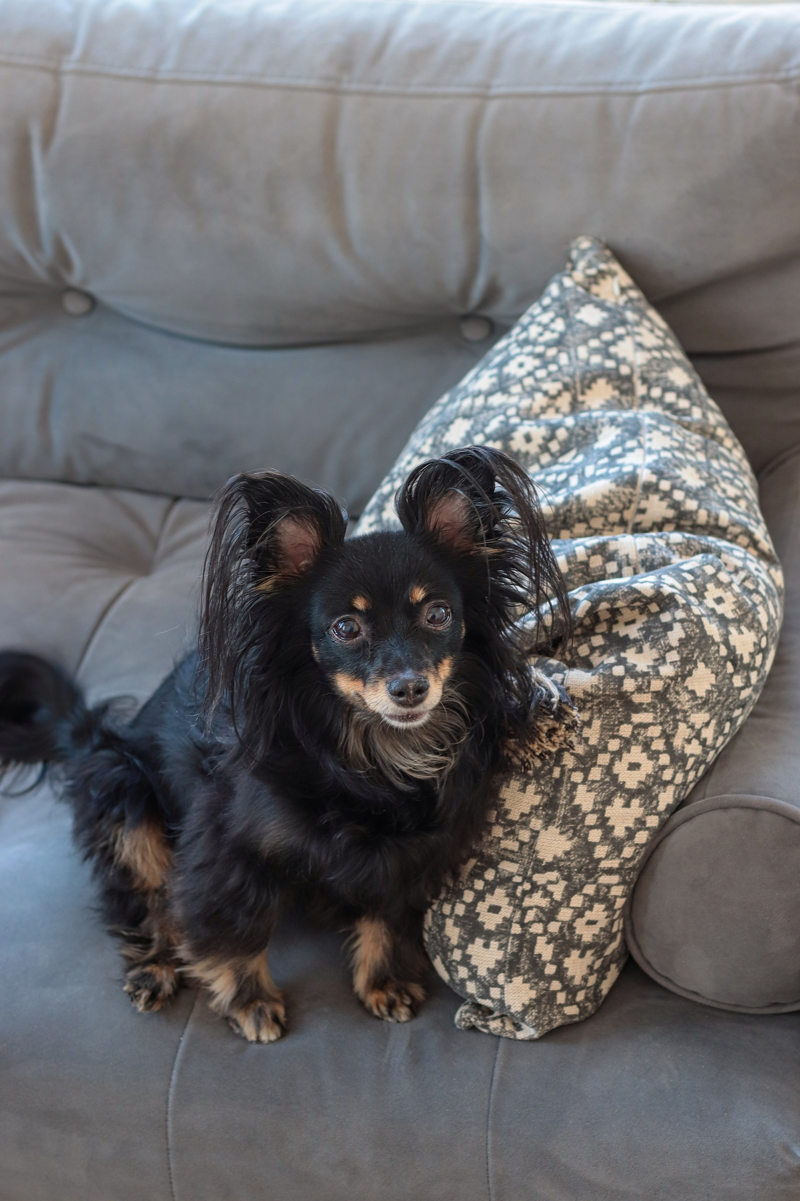 Маша, Саша и Бэлла. Фотограф Химки Анна Татарских